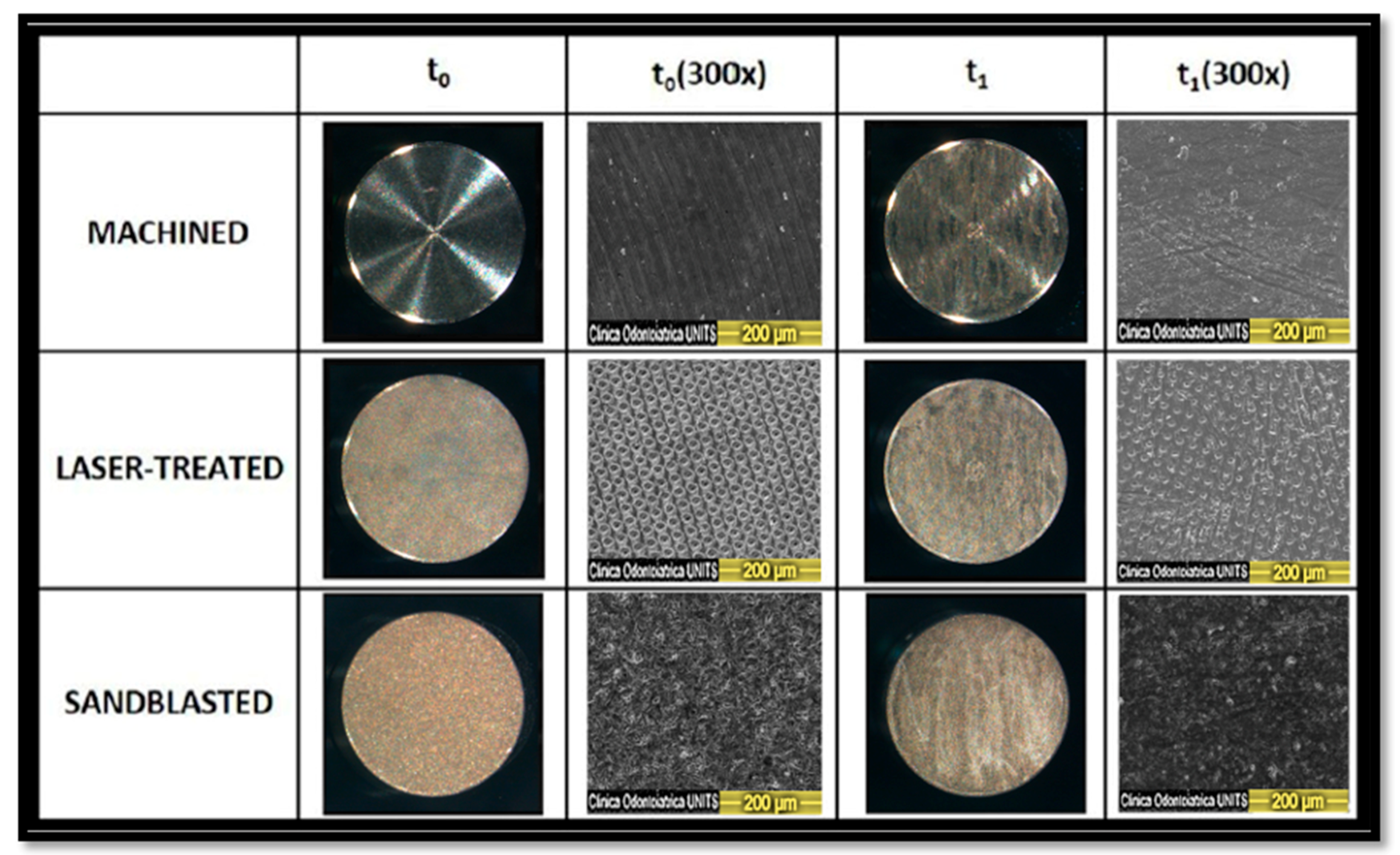 Applsci 11 01433 g002