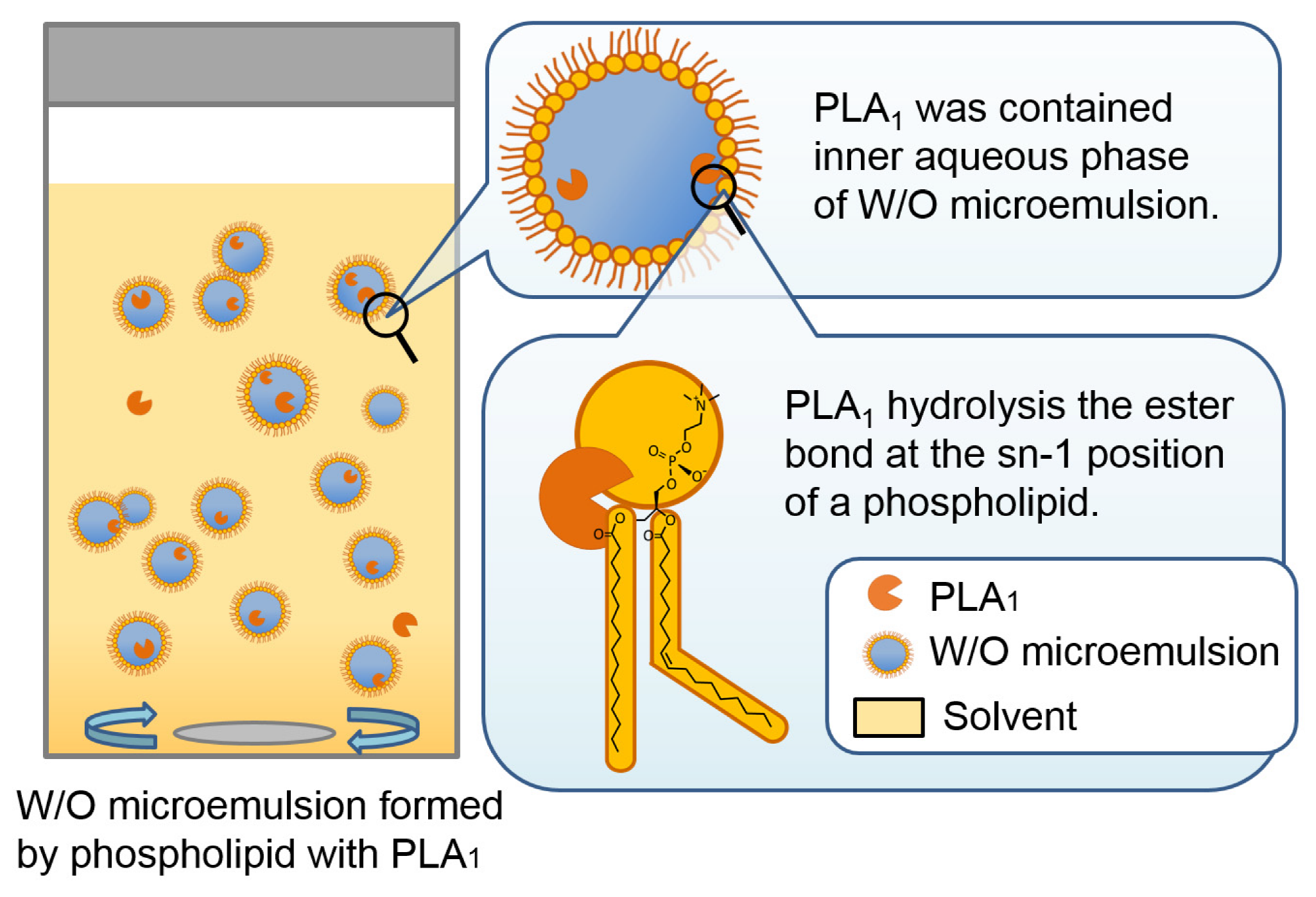 Applsci 11 01456 g001 Applsci 11 01456 g001