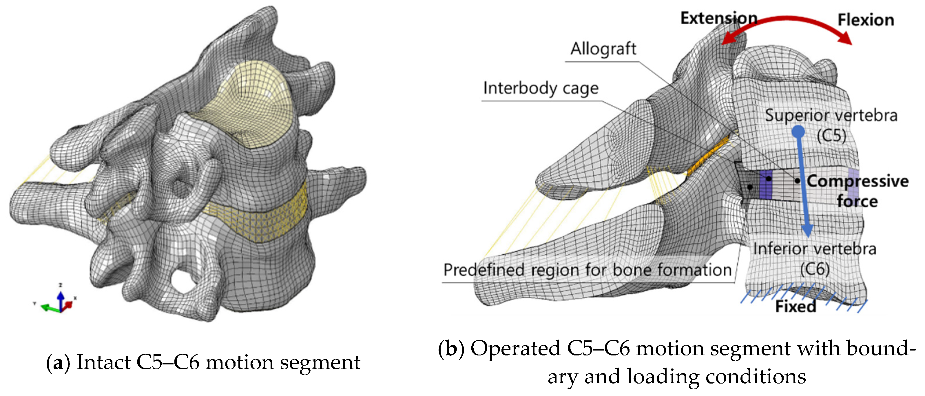 Applsci 11 01487 g001 Applsci 11 01487 g001
