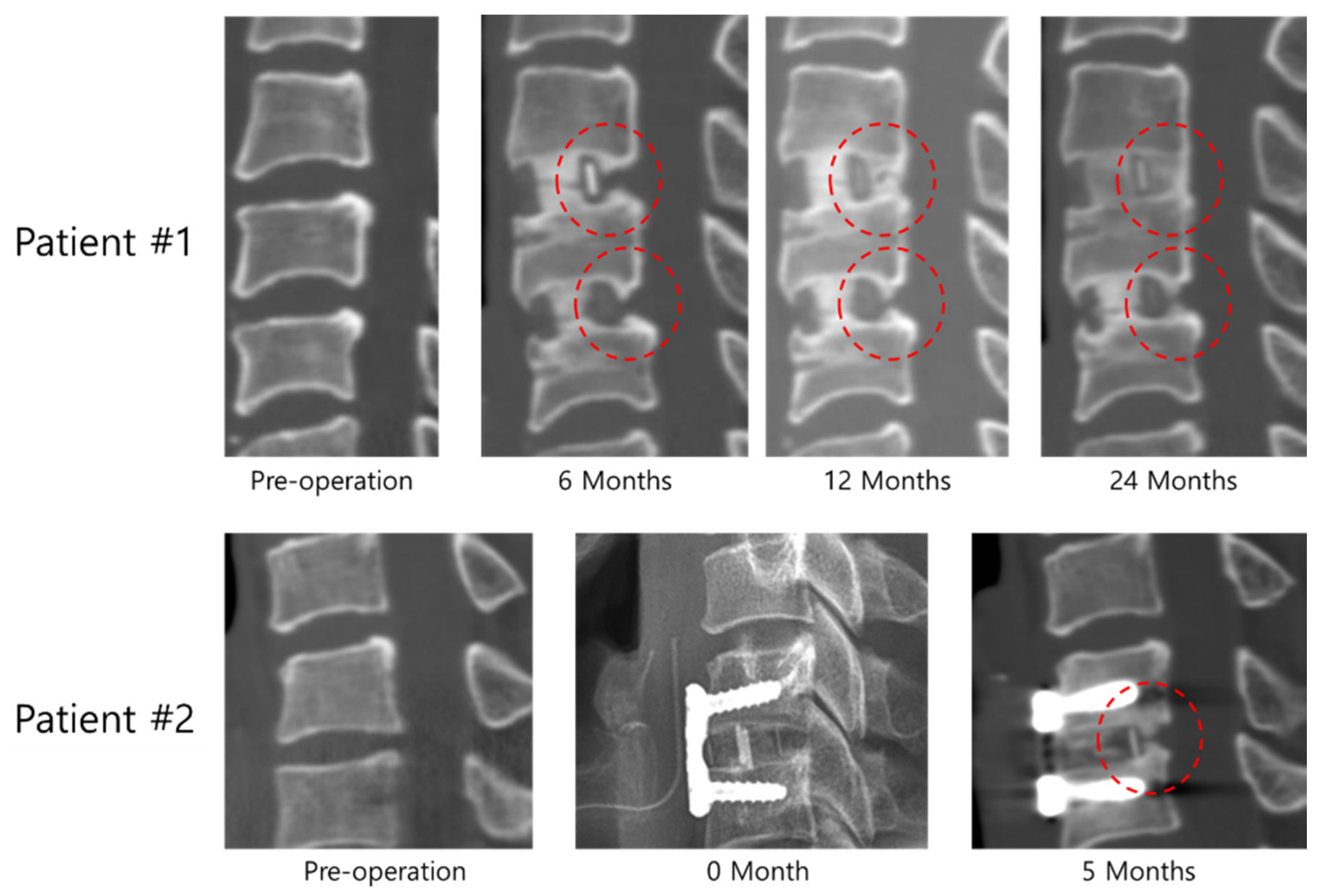 Applsci 11 01487 g002 Applsci 11 01487 g002