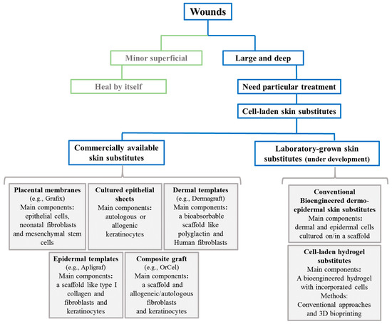 Bioengineered Skin Substitutes | Encyclopedia MDPI