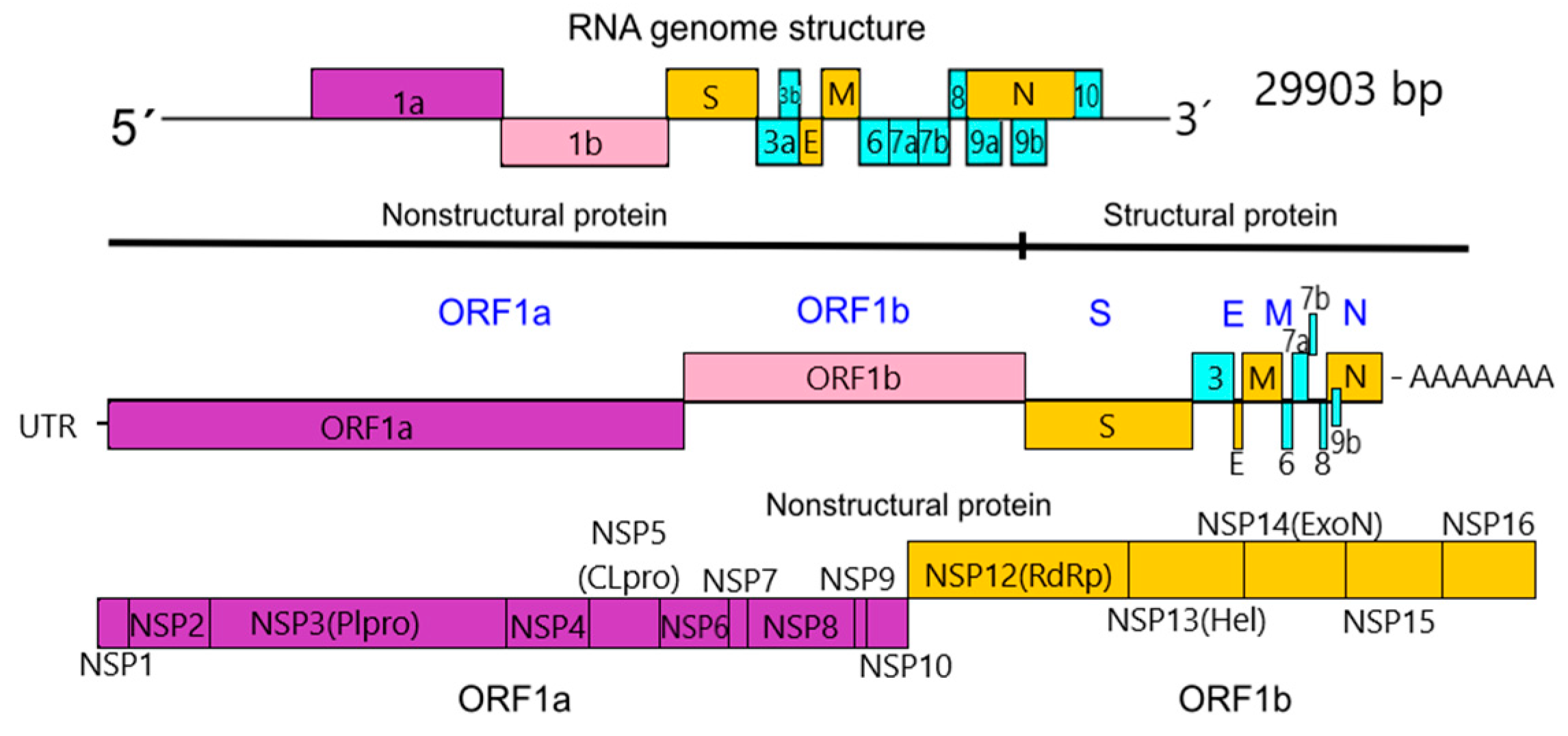 Applsci 11 01497 g002 Applsci 11 01497 g002