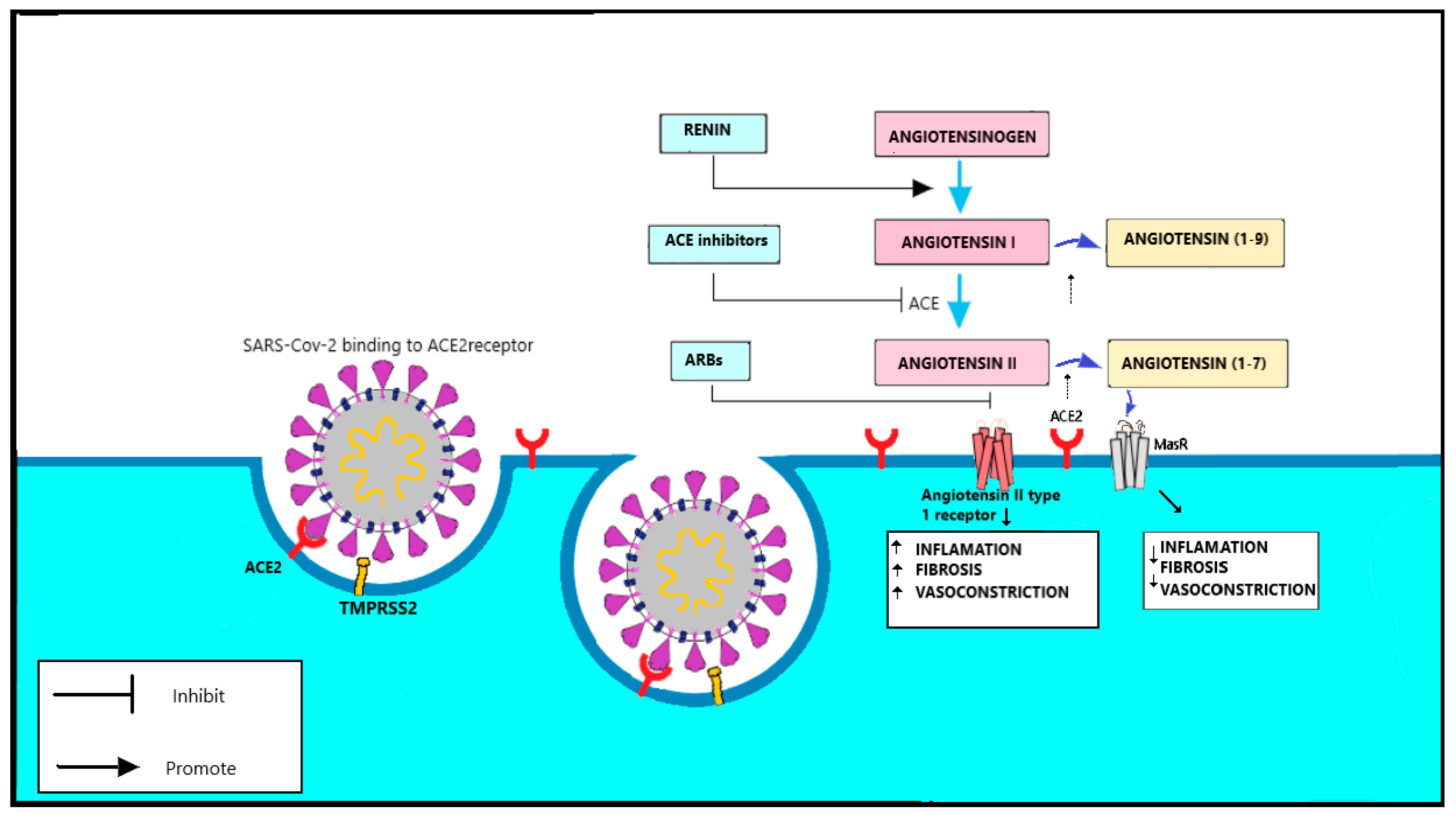 Applsci 11 01497 g004 Applsci 11 01497 g004