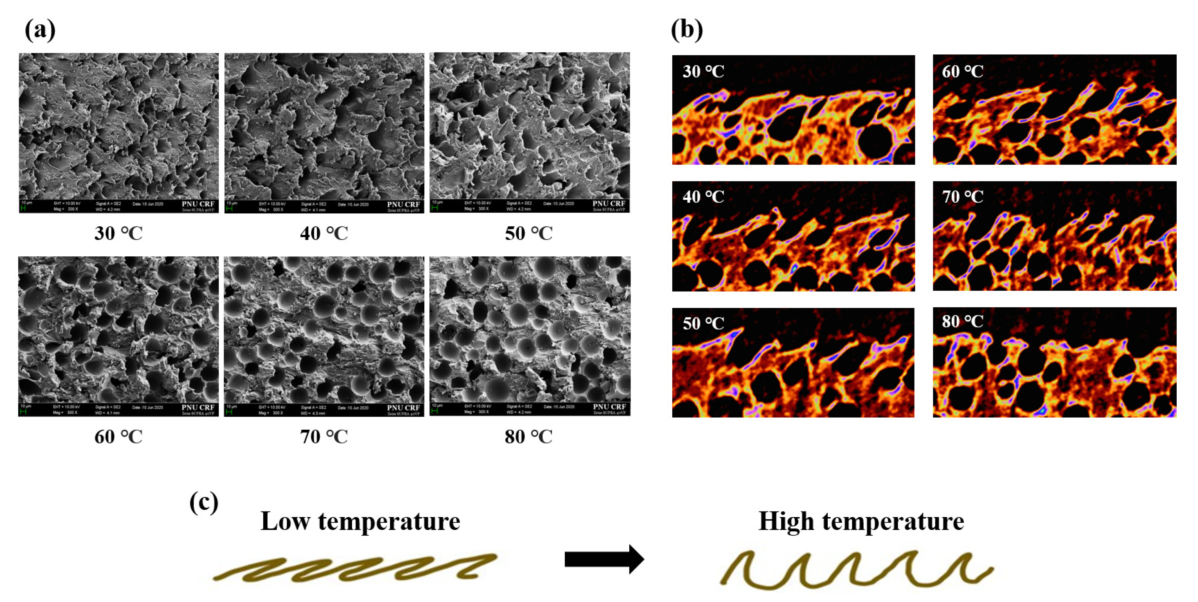 Applsci 11 01507 g004 550