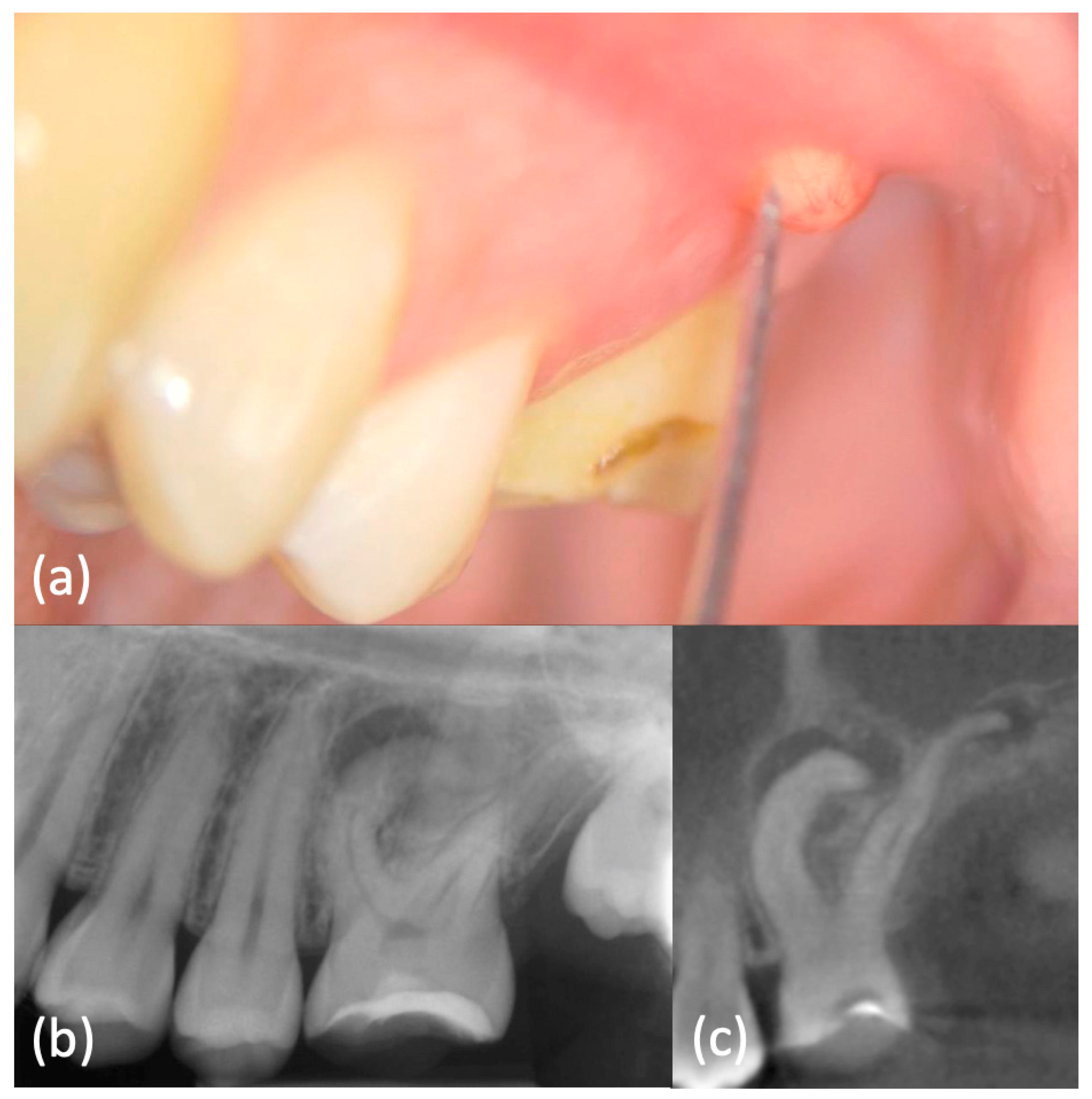 Applsci 11 01511 g006