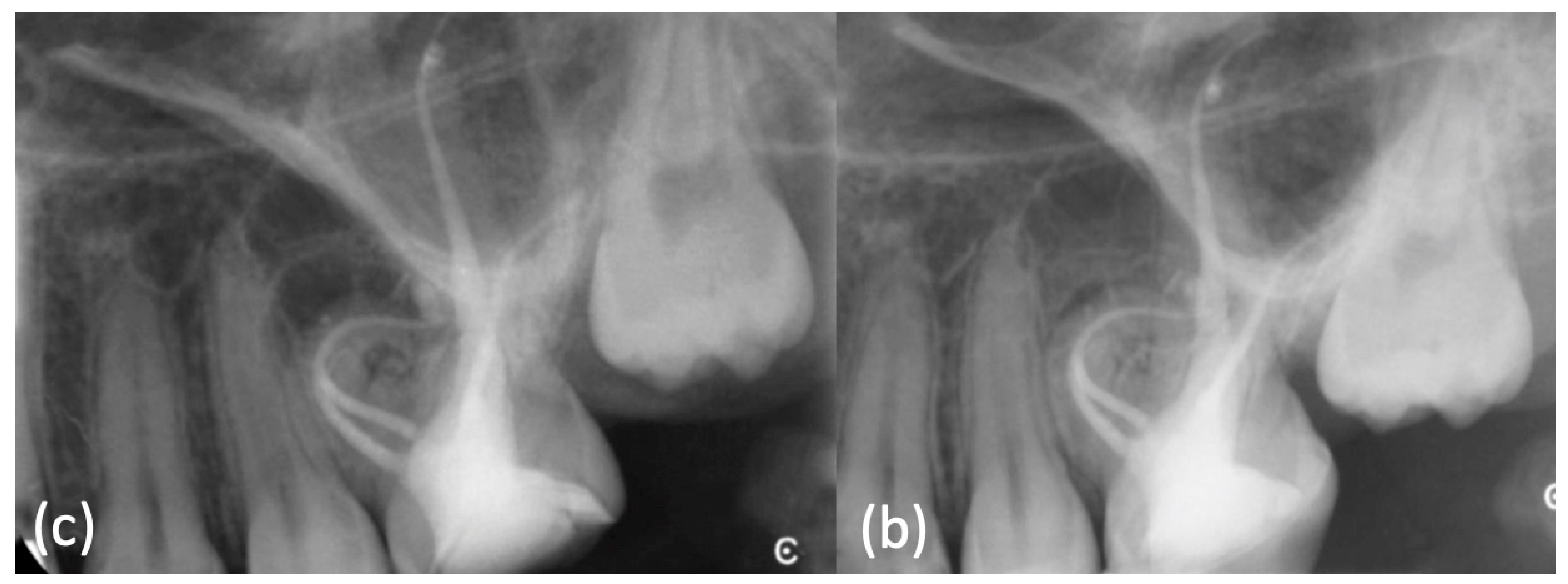 Applsci 11 01511 g009