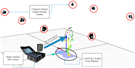 Can Trunk Acceleration Differentiate Stroke Patient Gait Patterns Using ...
