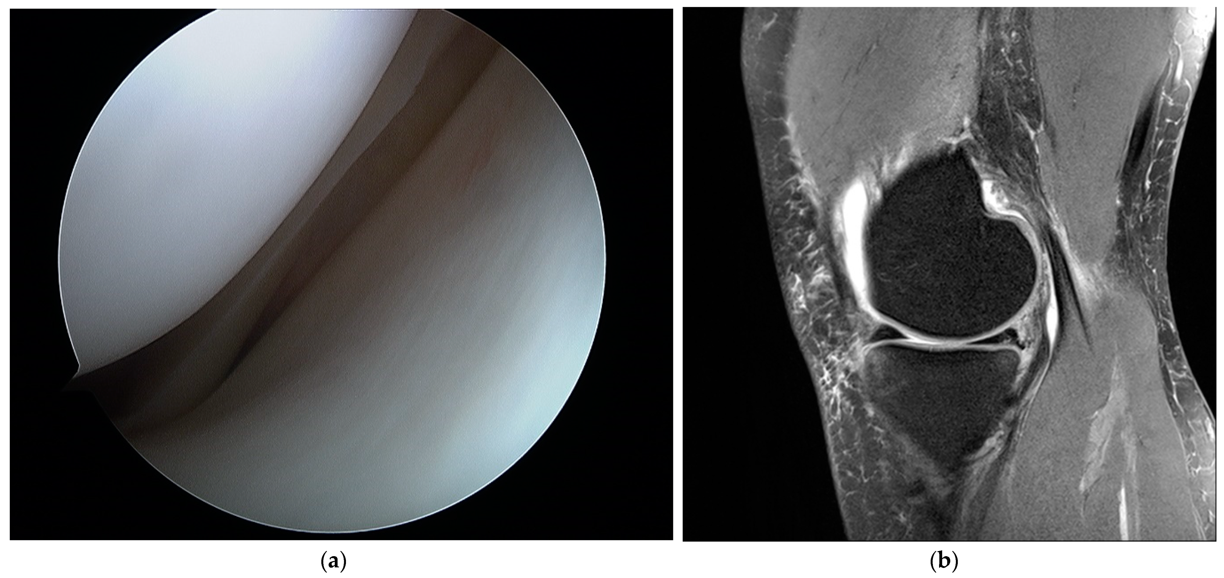 Applsci 11 01552 g001