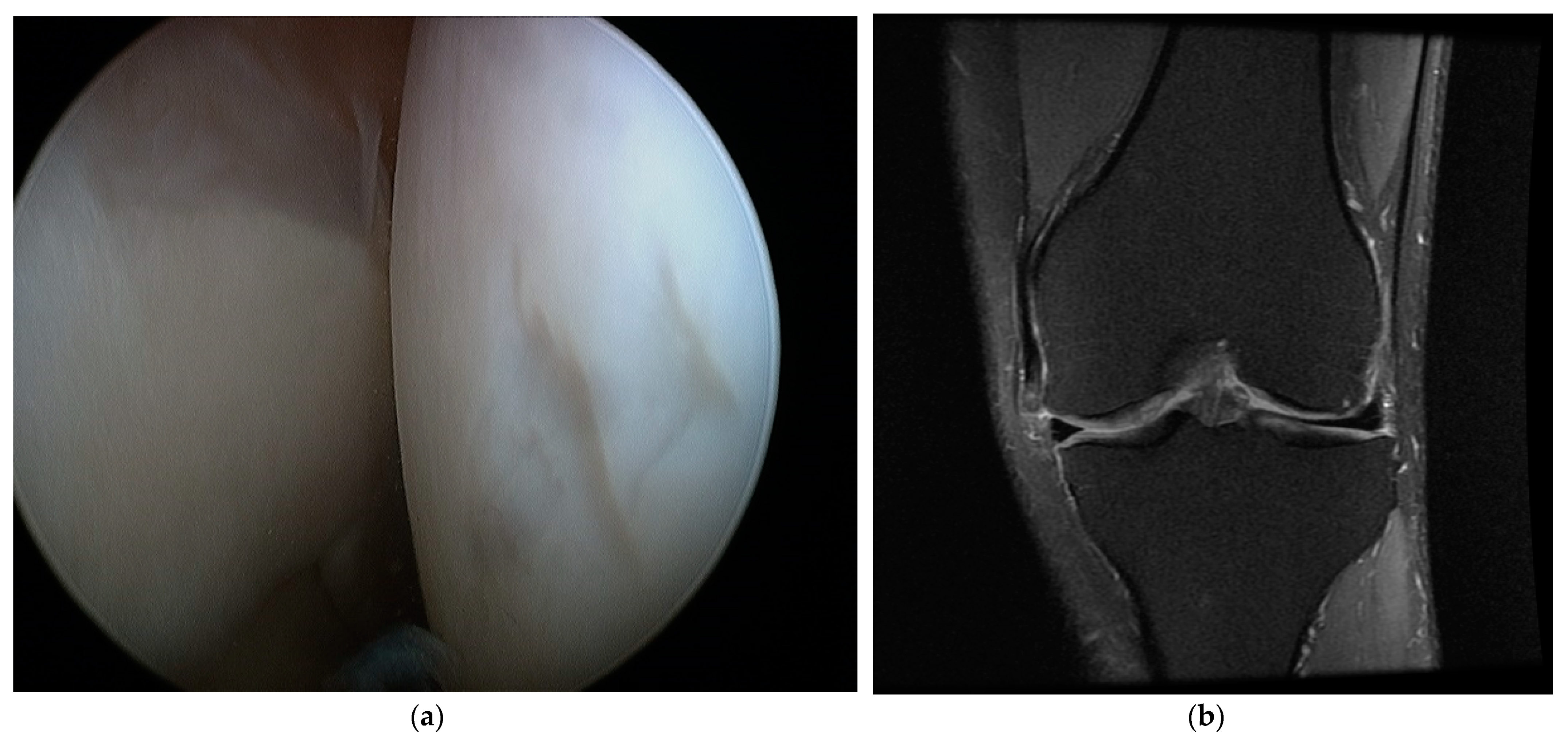 Applsci 11 01552 g002