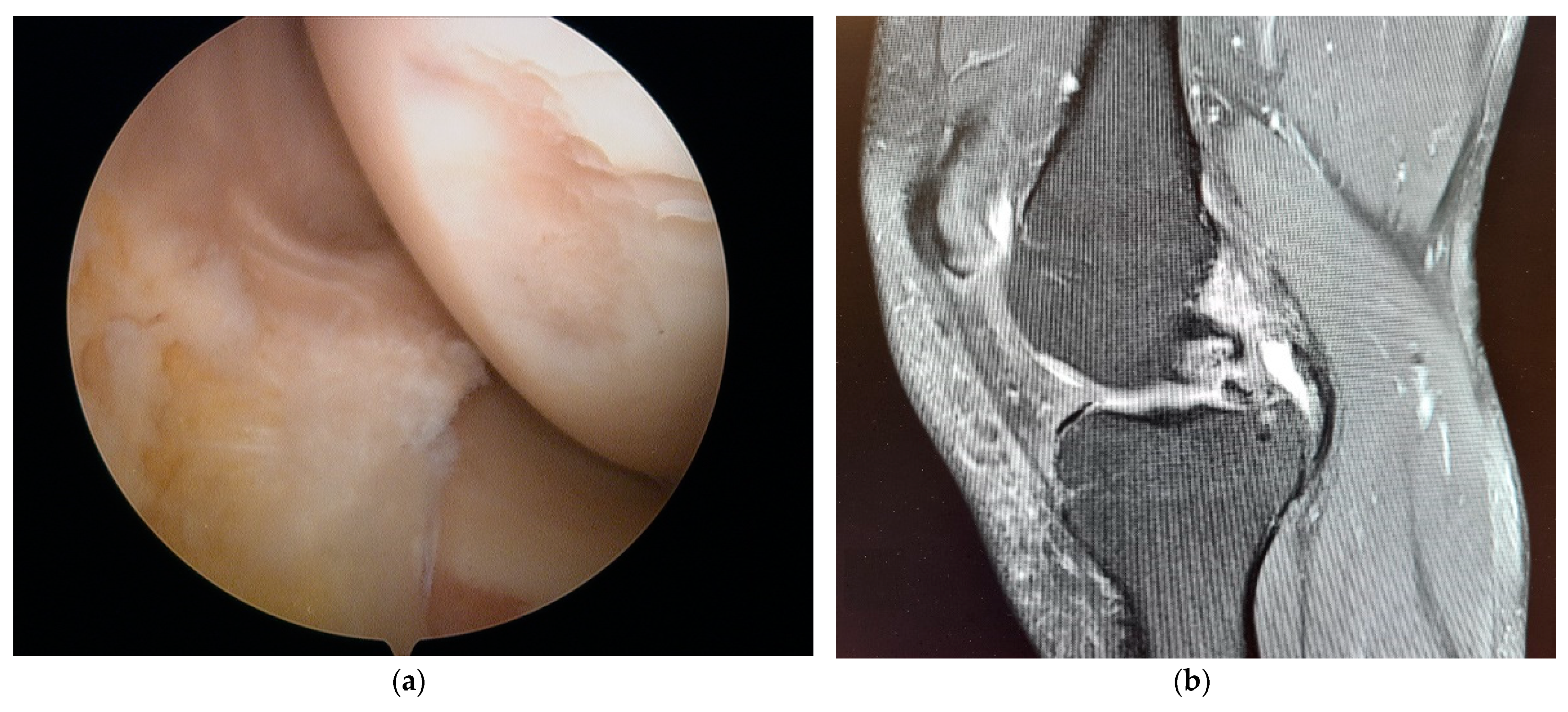 Applsci 11 01552 g003