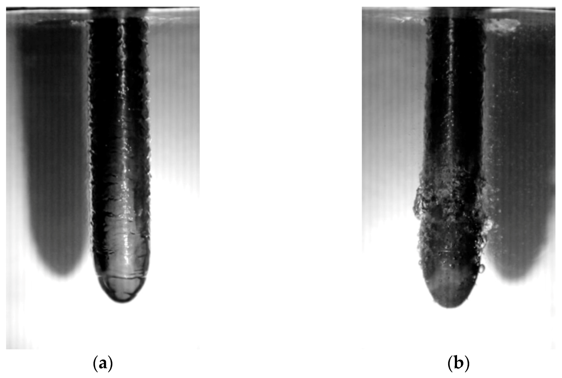 Applsci 11 01562 g011