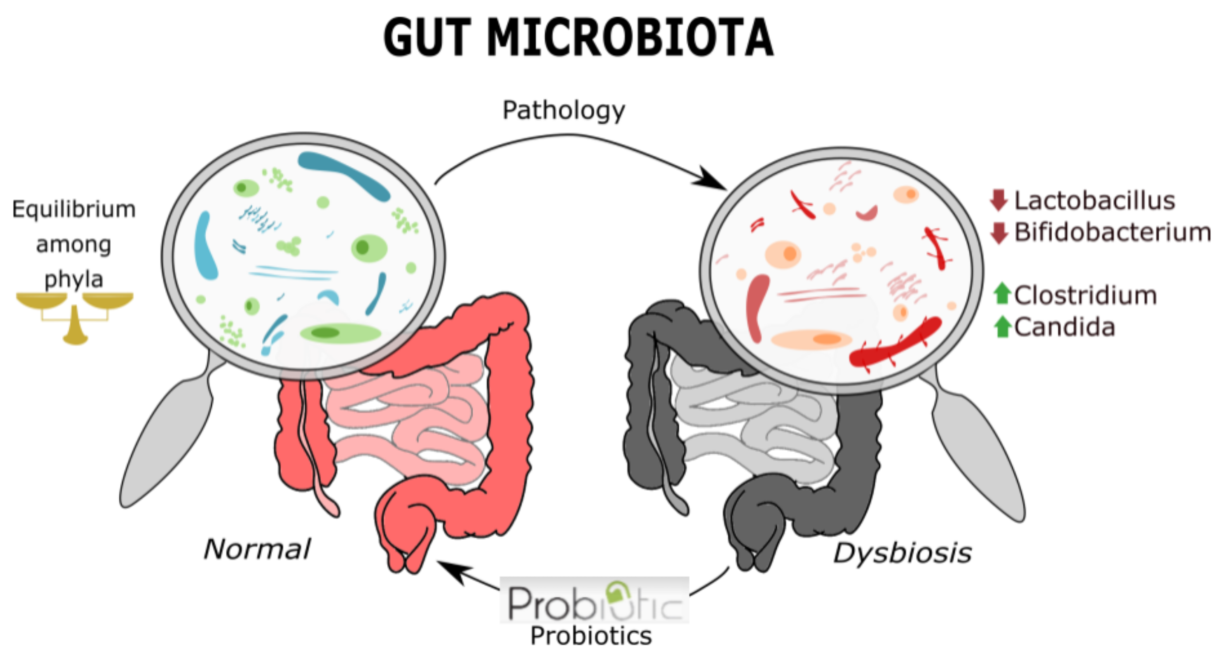 Applsci 11 01572 g001