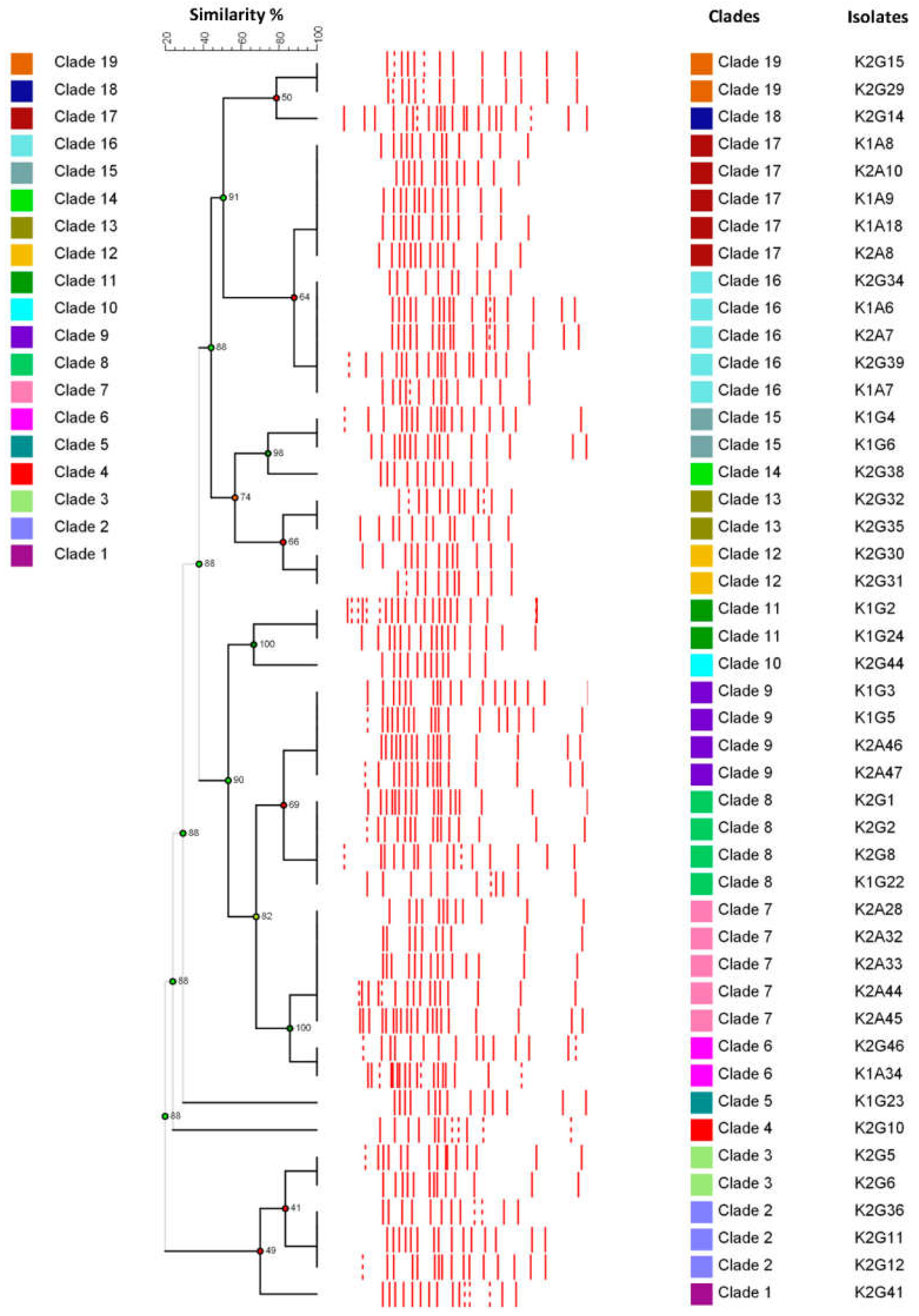 Applsci 11 01595 g003 Applsci 11 01595 g003