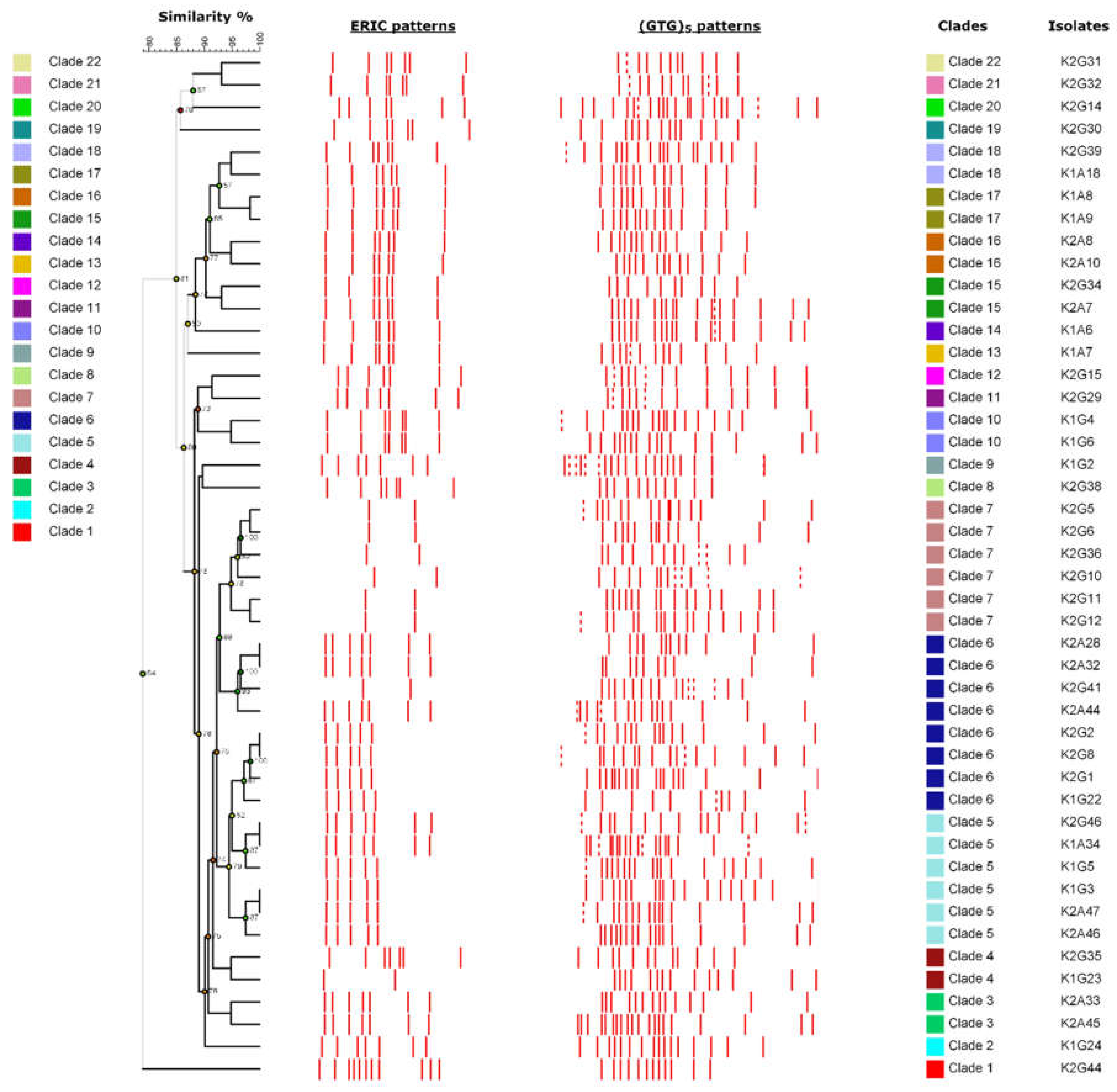 Applsci 11 01595 g004 Applsci 11 01595 g004