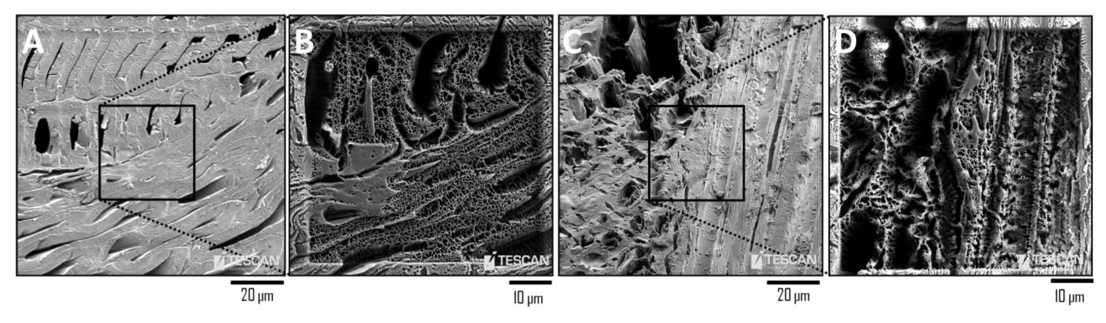 Applsci 11 01604 g002 Applsci 11 01604 g002