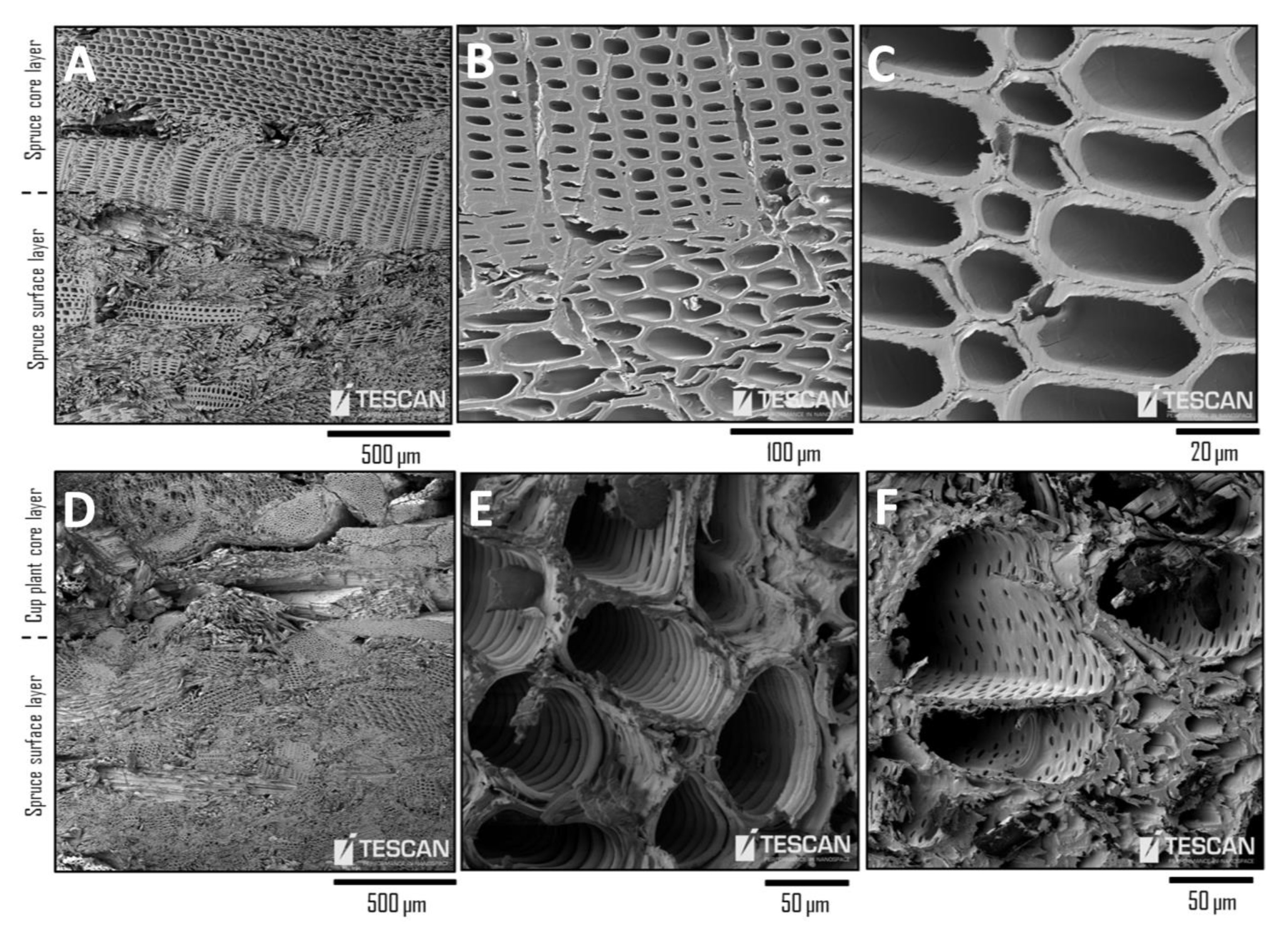 Applsci 11 01604 g003 Applsci 11 01604 g003