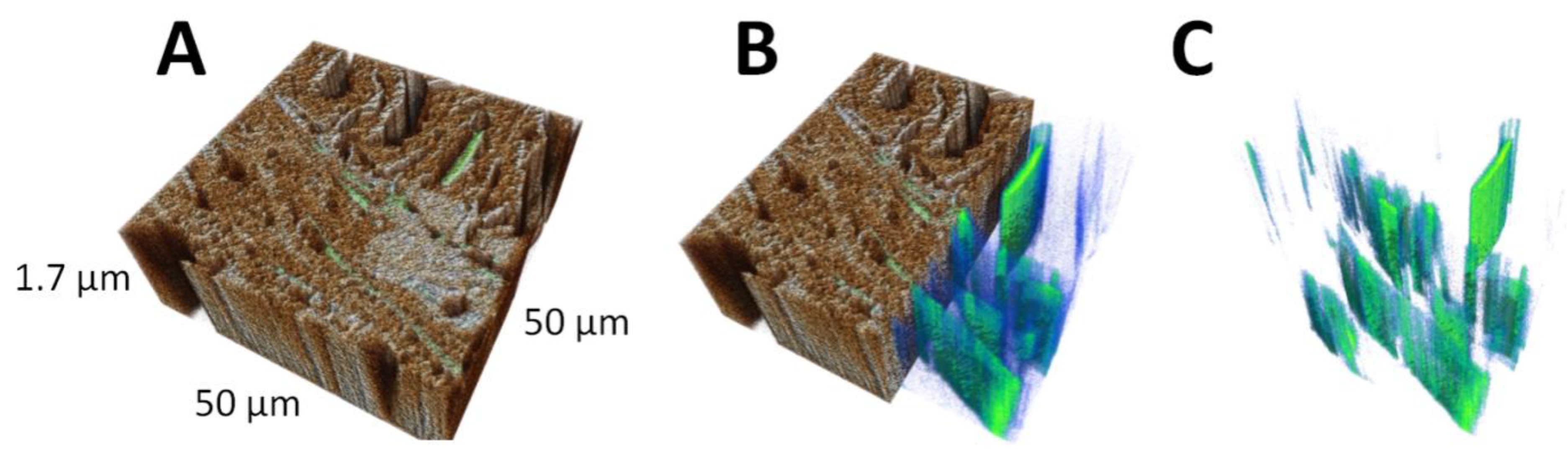 Applsci 11 01604 g006 Applsci 11 01604 g006