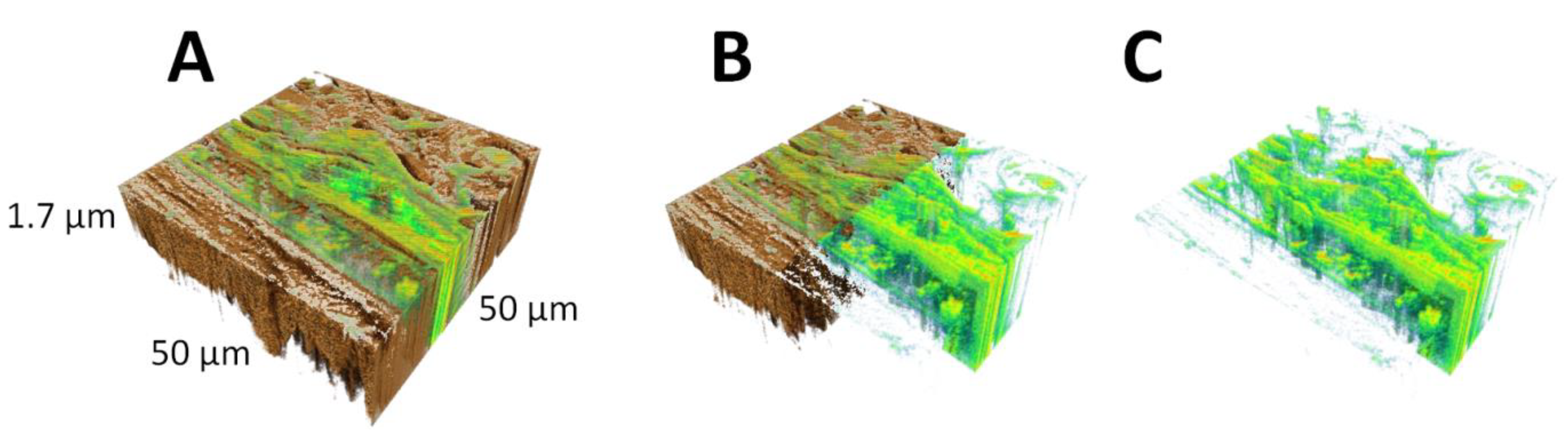 Applsci 11 01604 g007 Applsci 11 01604 g007