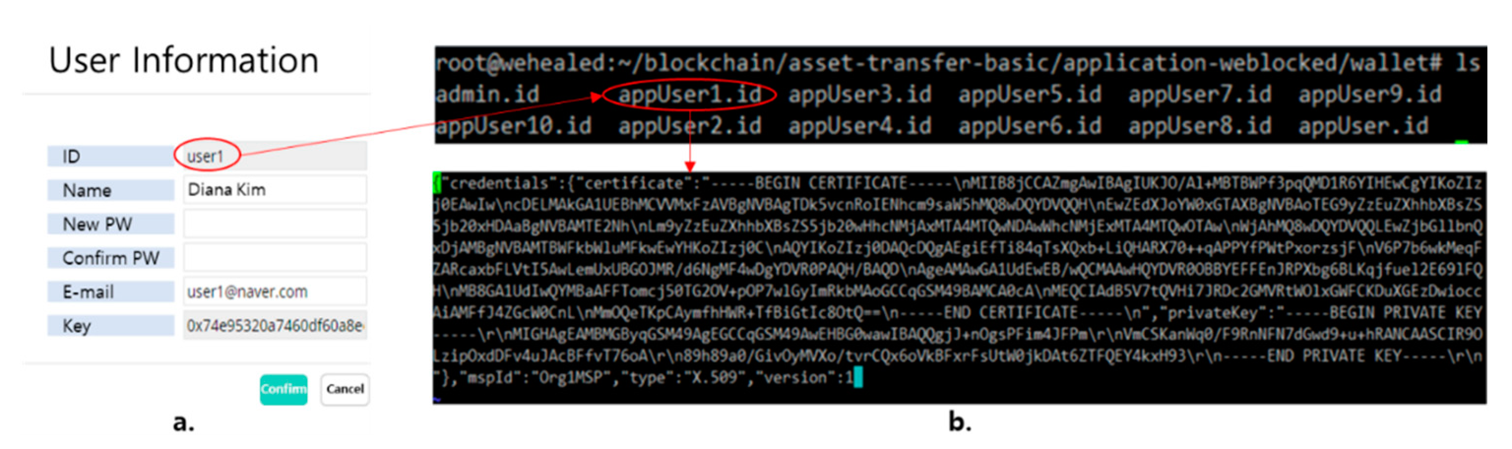 Applsci 11 01612 g007