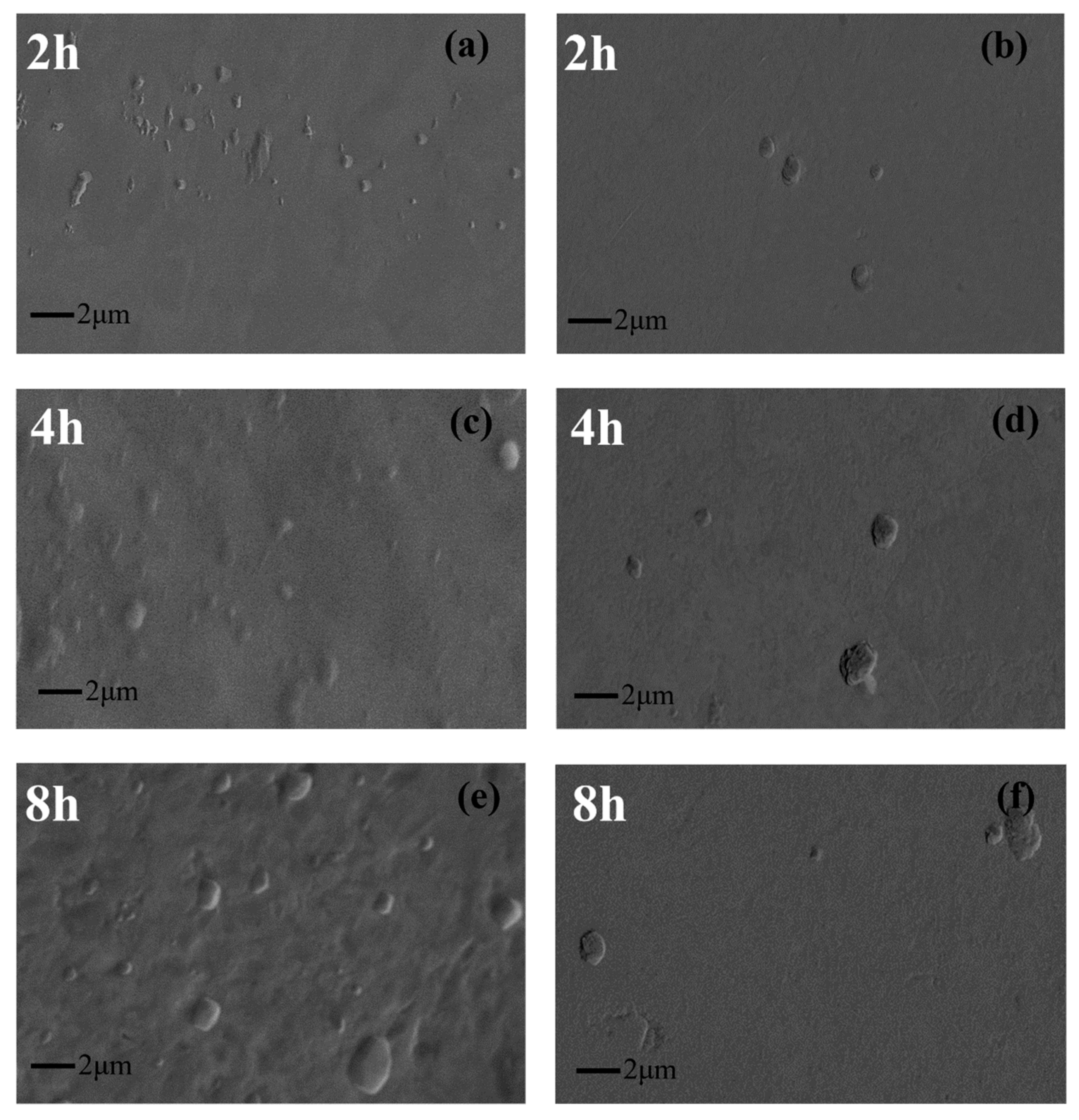 Applsci 11 01619 g004 Applsci 11 01619 g004