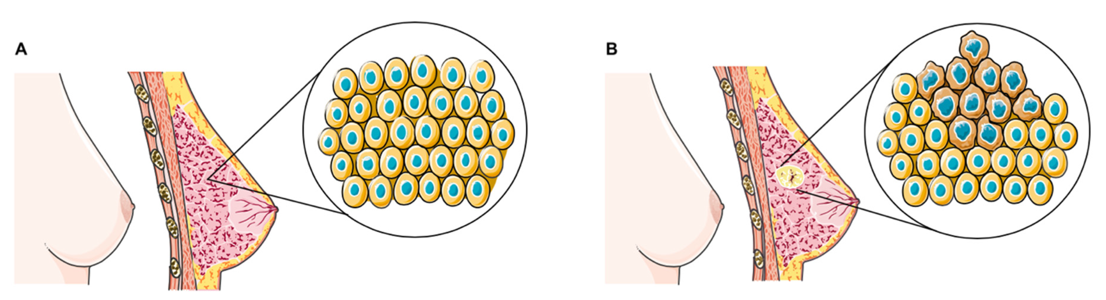 Applsci 11 01624 g001