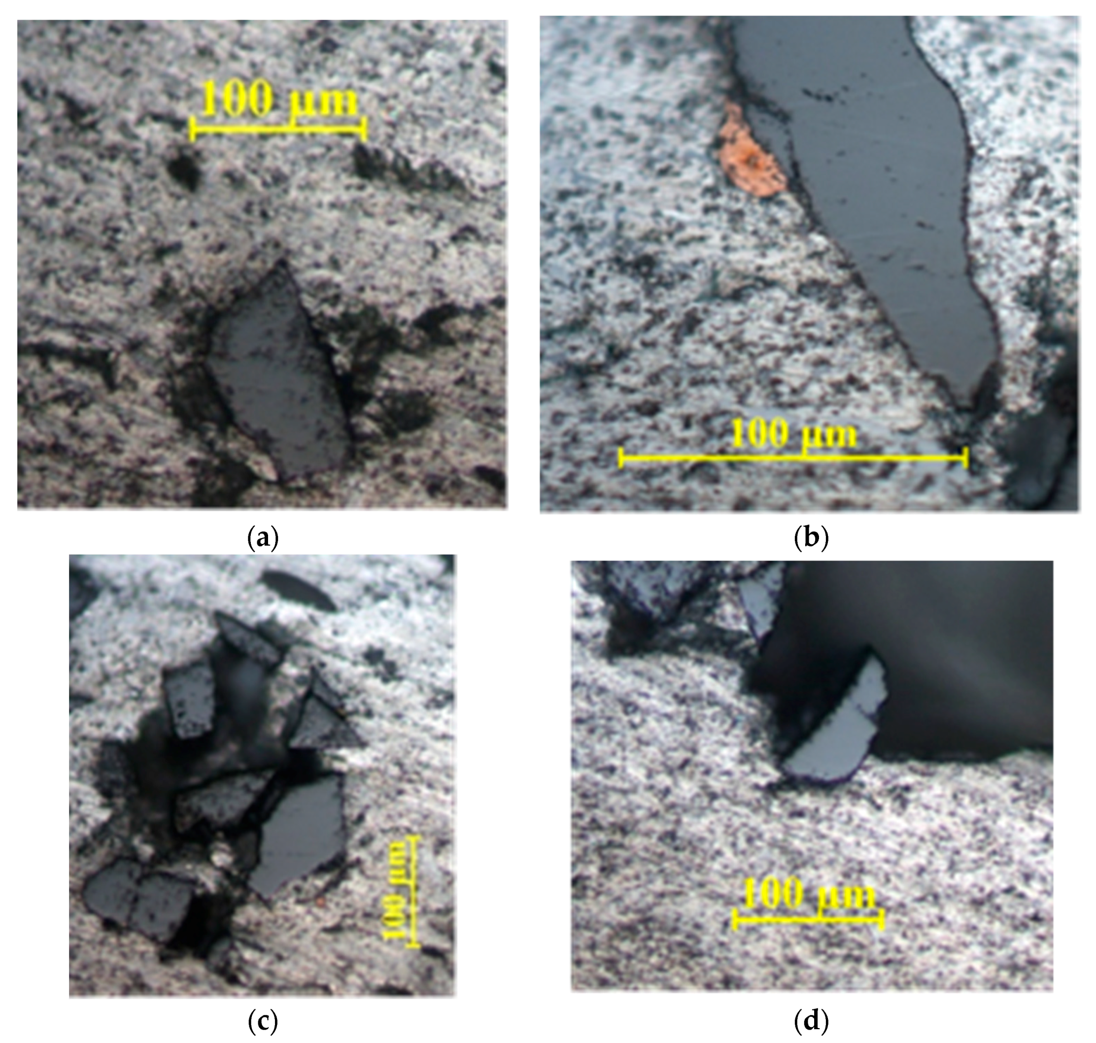 Applsci 11 01625 g004 Applsci 11 01625 g004