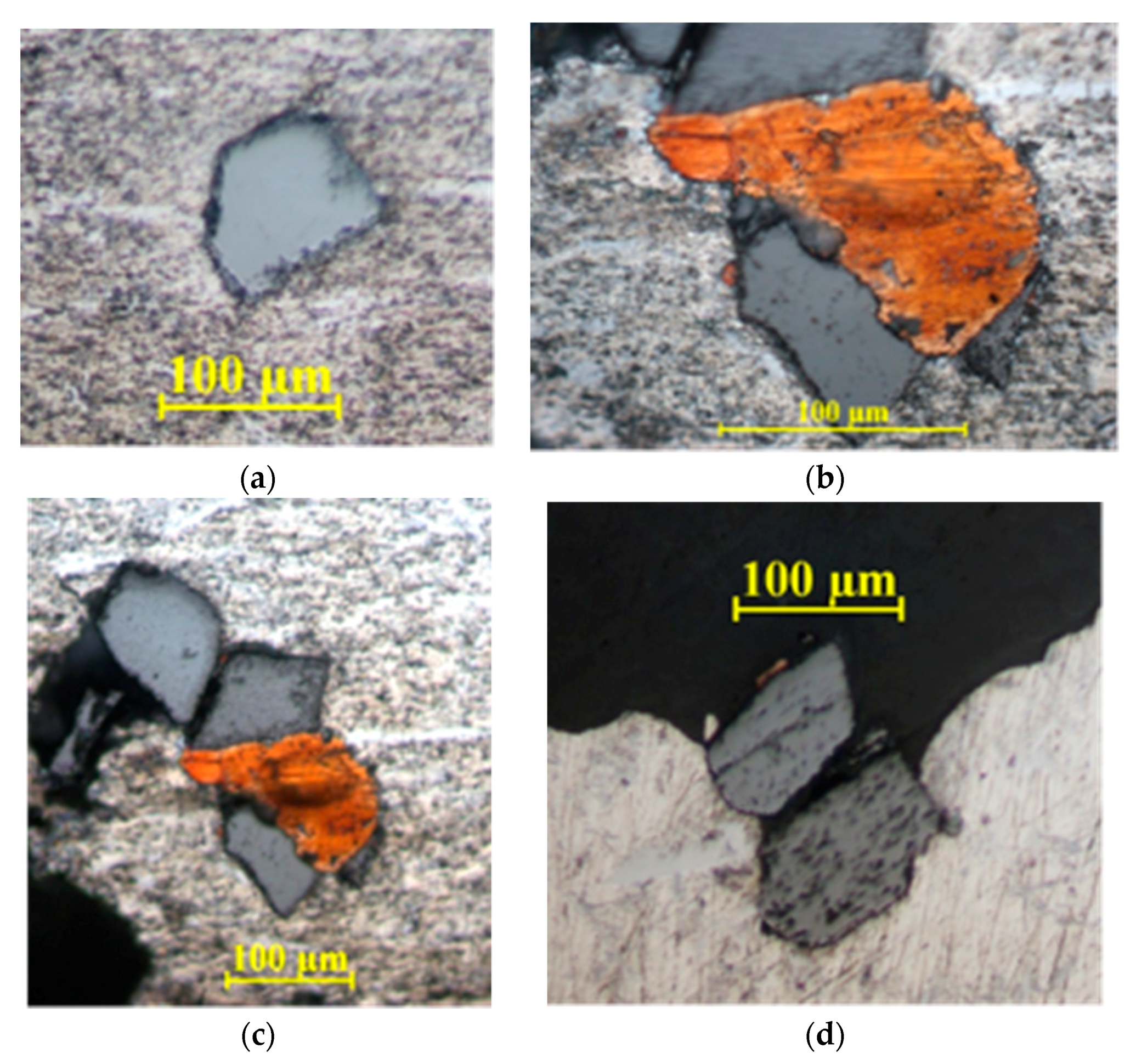 Applsci 11 01625 g005 Applsci 11 01625 g005