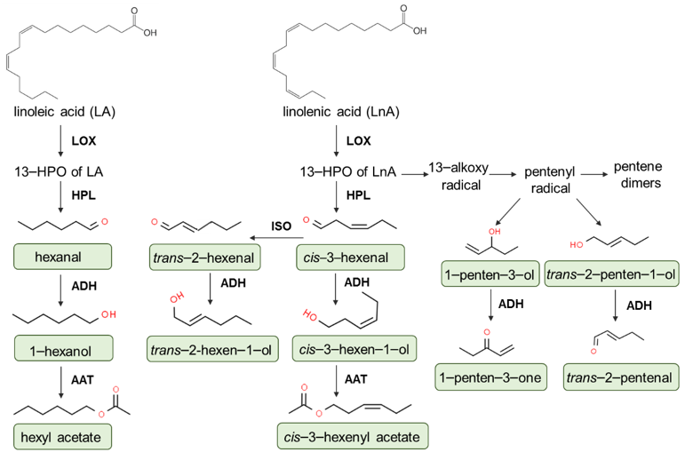 Applsci 11 01639 g003