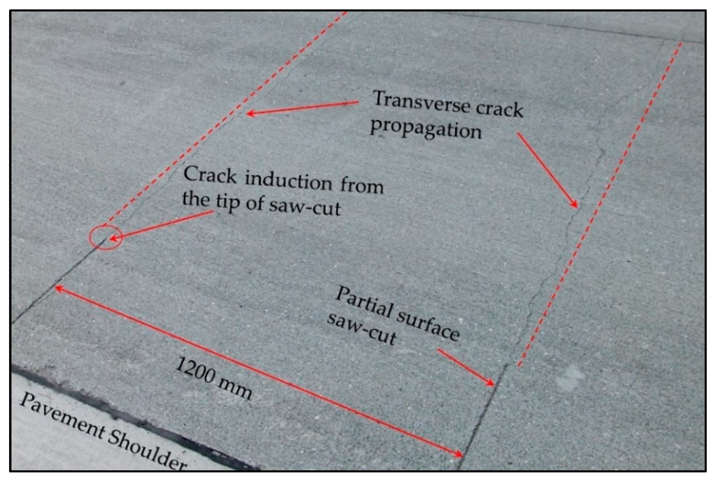 Applsci 11 01659 g005 Applsci 11 01659 g005