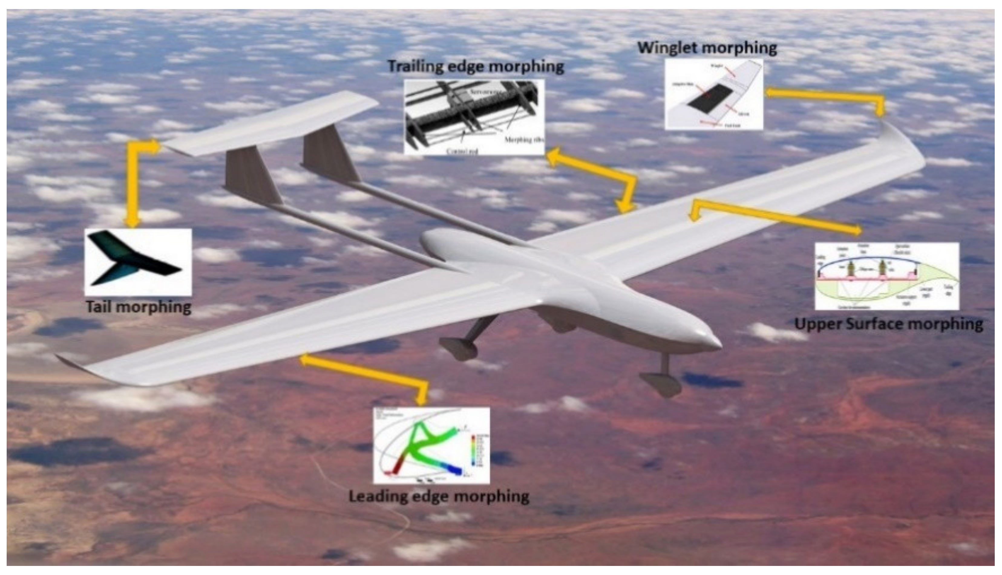 Tail Design Aircraft