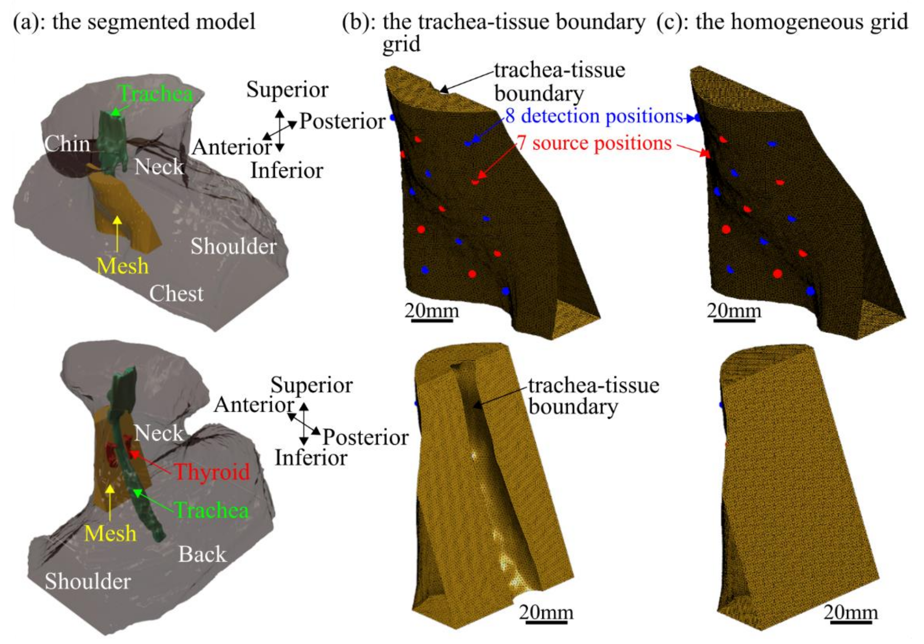 Applsci 11 01670 g003