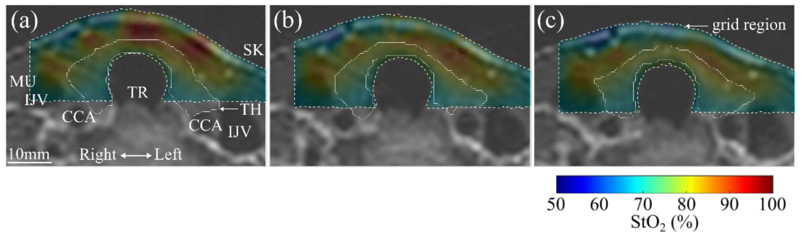 Applsci 11 01670 g005
