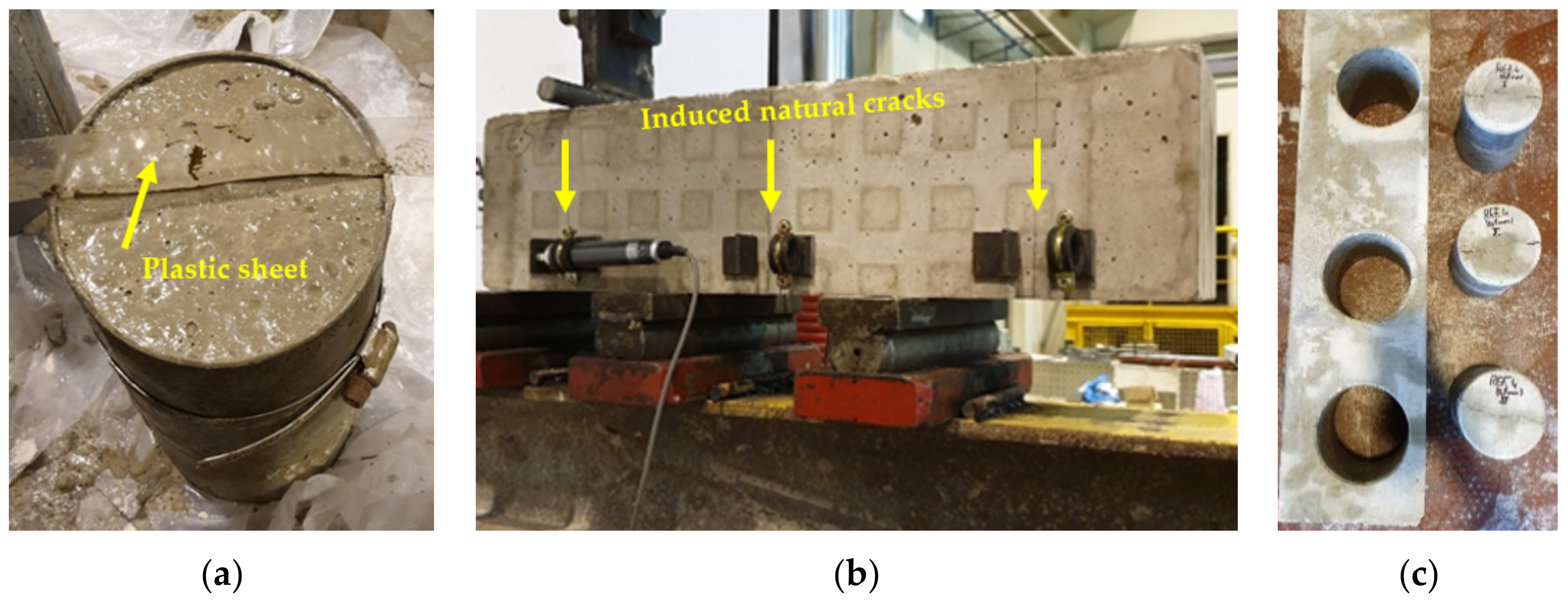 Applsci 11 01672 g001 Applsci 11 01672 g001