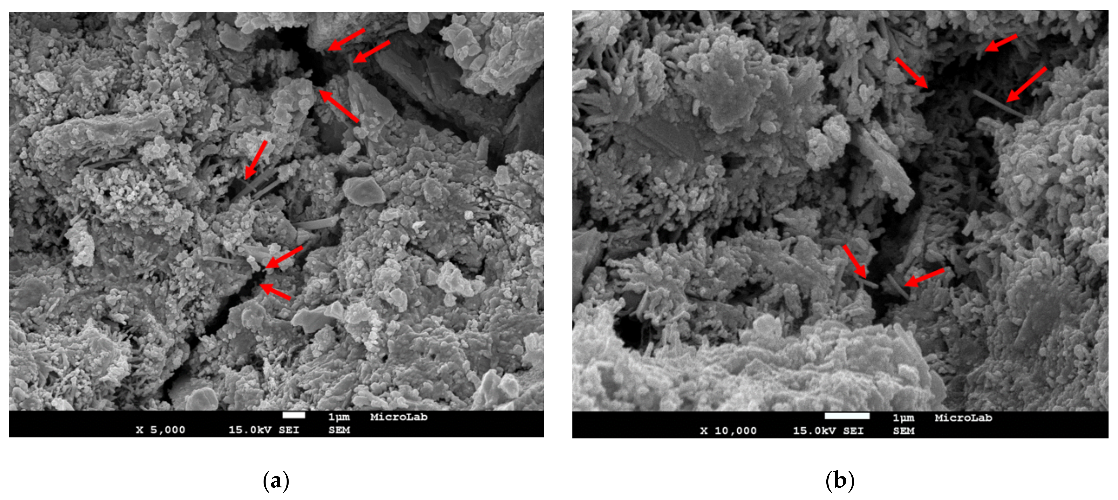 Applsci 11 01672 g007a Applsci 11 01672 g007a