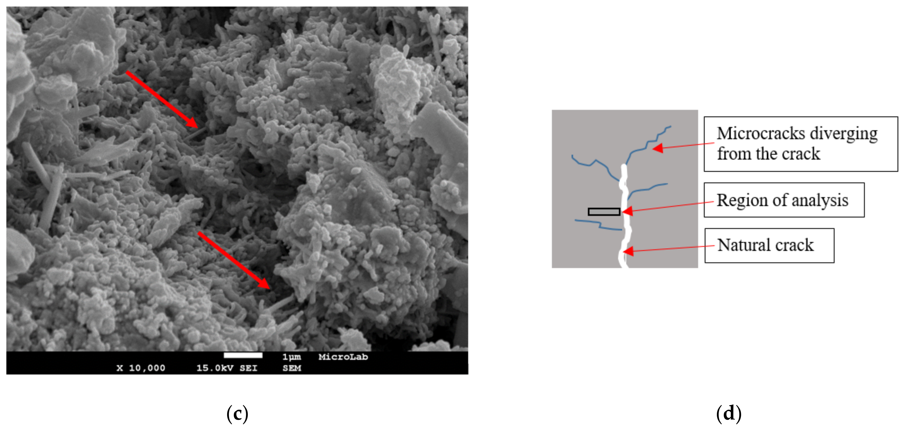 Applsci 11 01672 g007b Applsci 11 01672 g007b