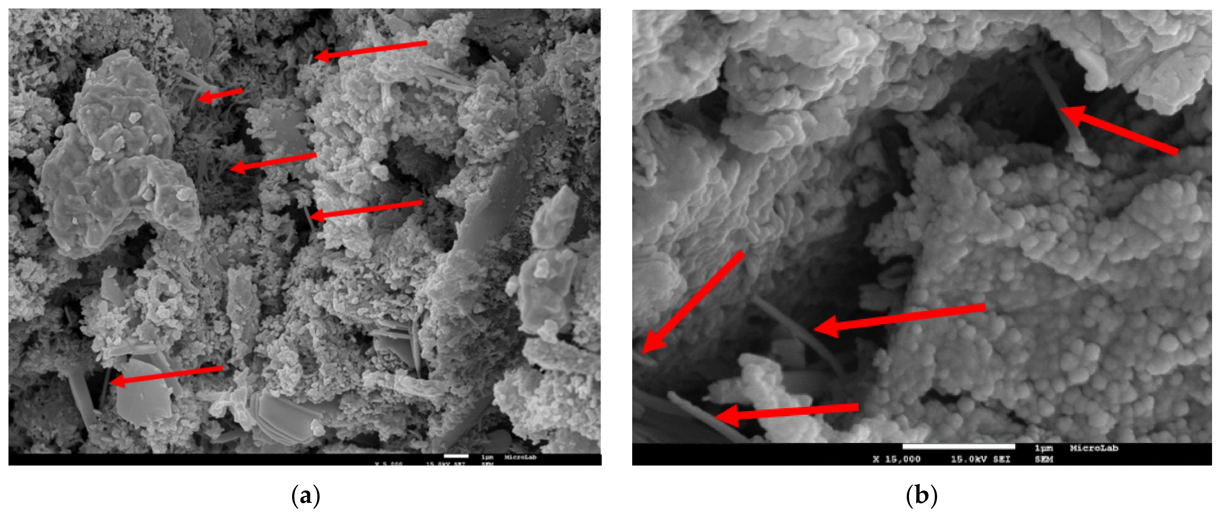 Applsci 11 01672 g008a Applsci 11 01672 g008a