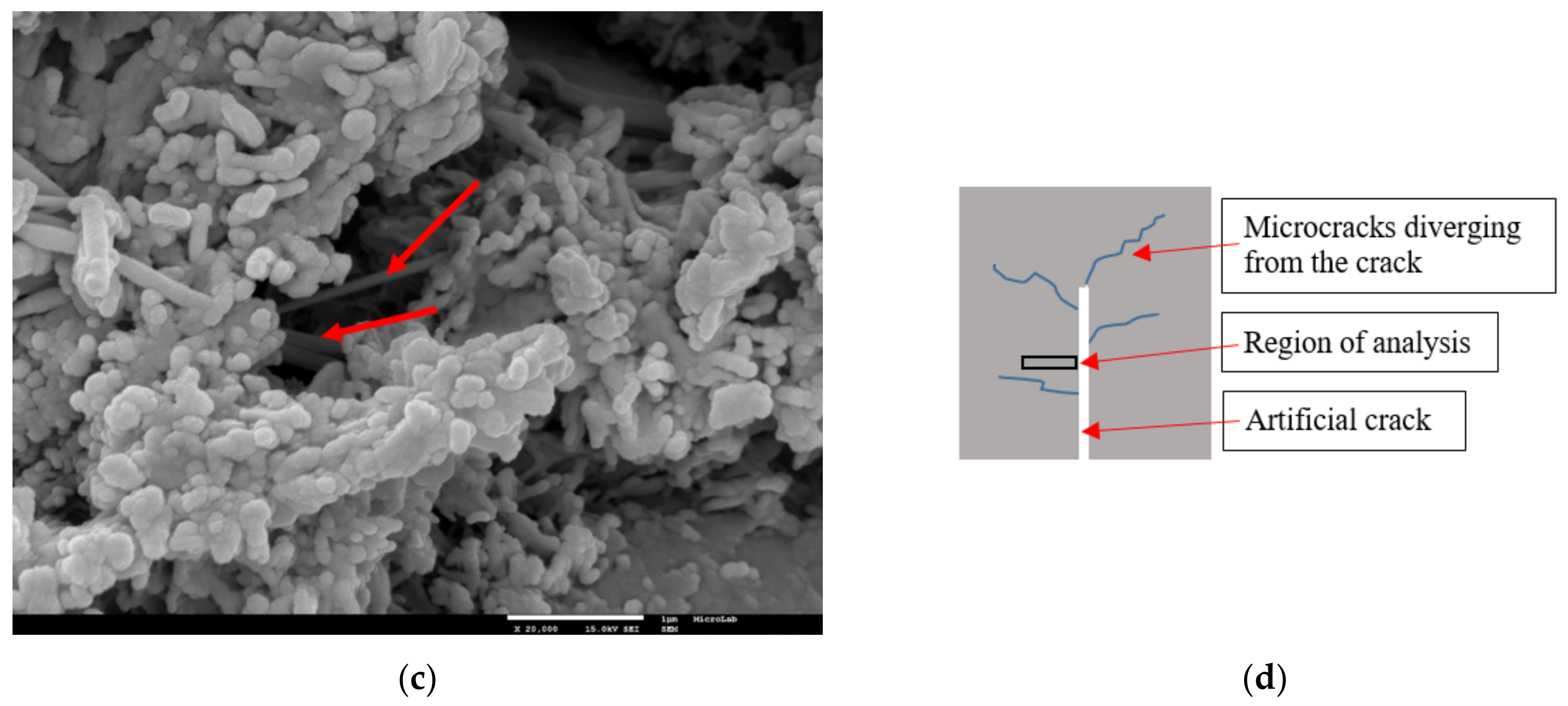 Applsci 11 01672 g008b Applsci 11 01672 g008b