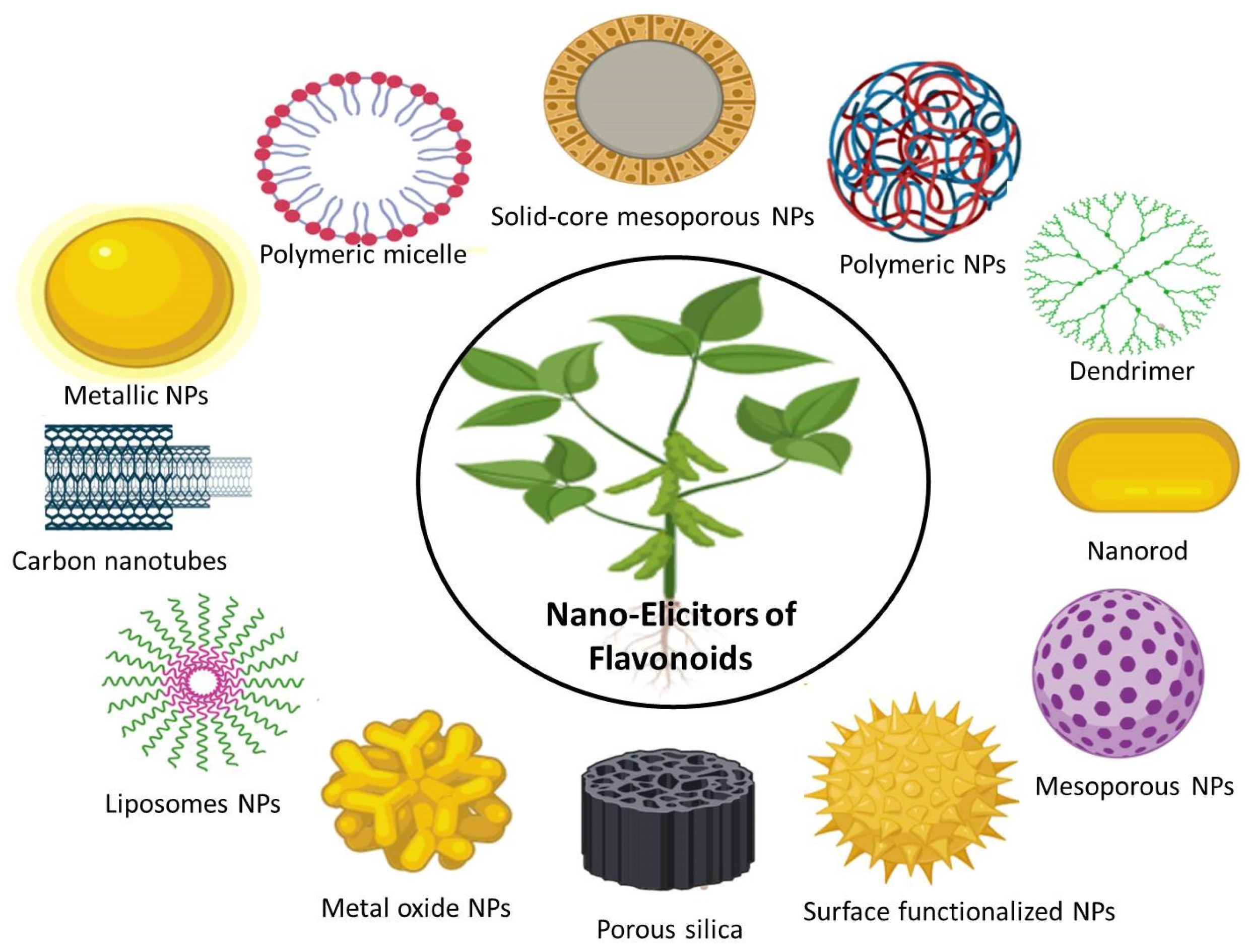 Applsci 11 01694 g002