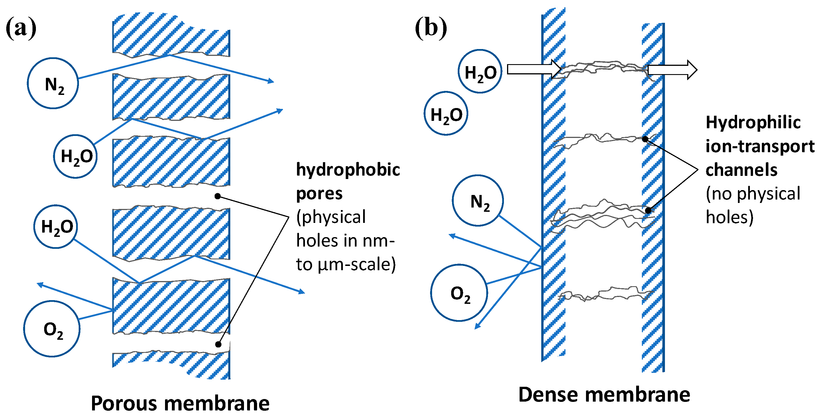 Applsci 11 01710 g001