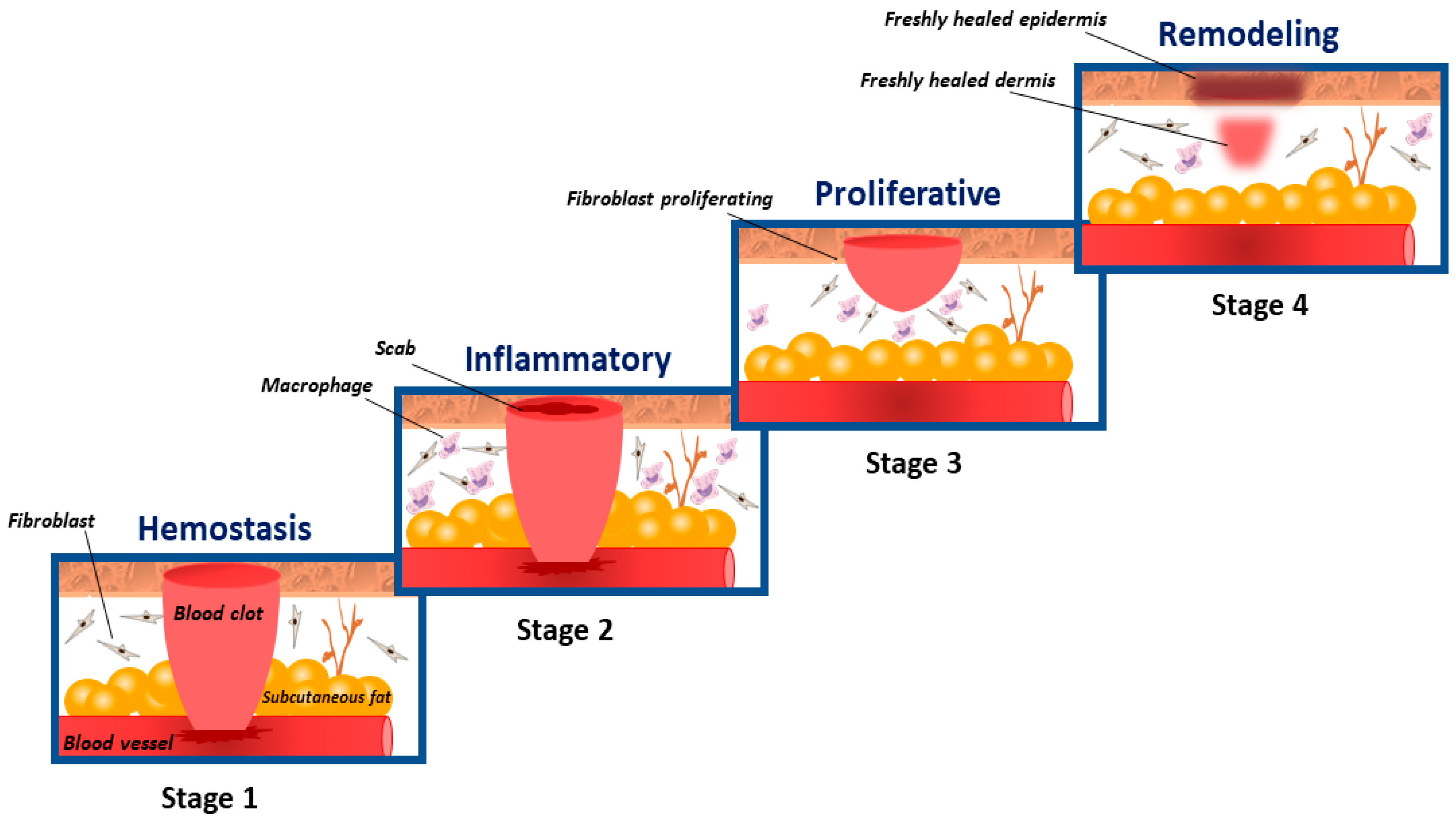 Applsci 11 01713 g001 Applsci 11 01713 g001