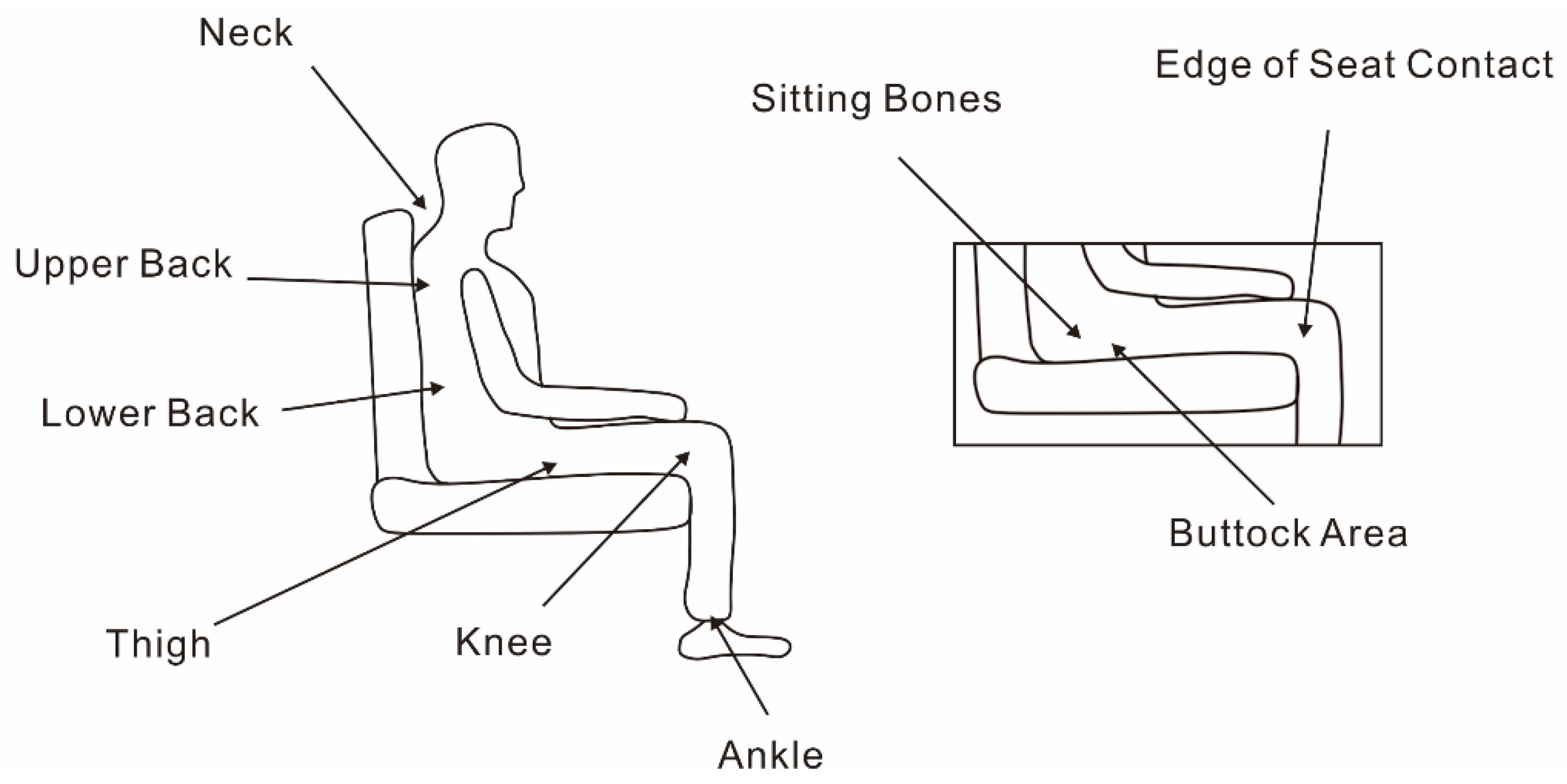 Applsci 11 01721 g002 Applsci 11 01721 g002