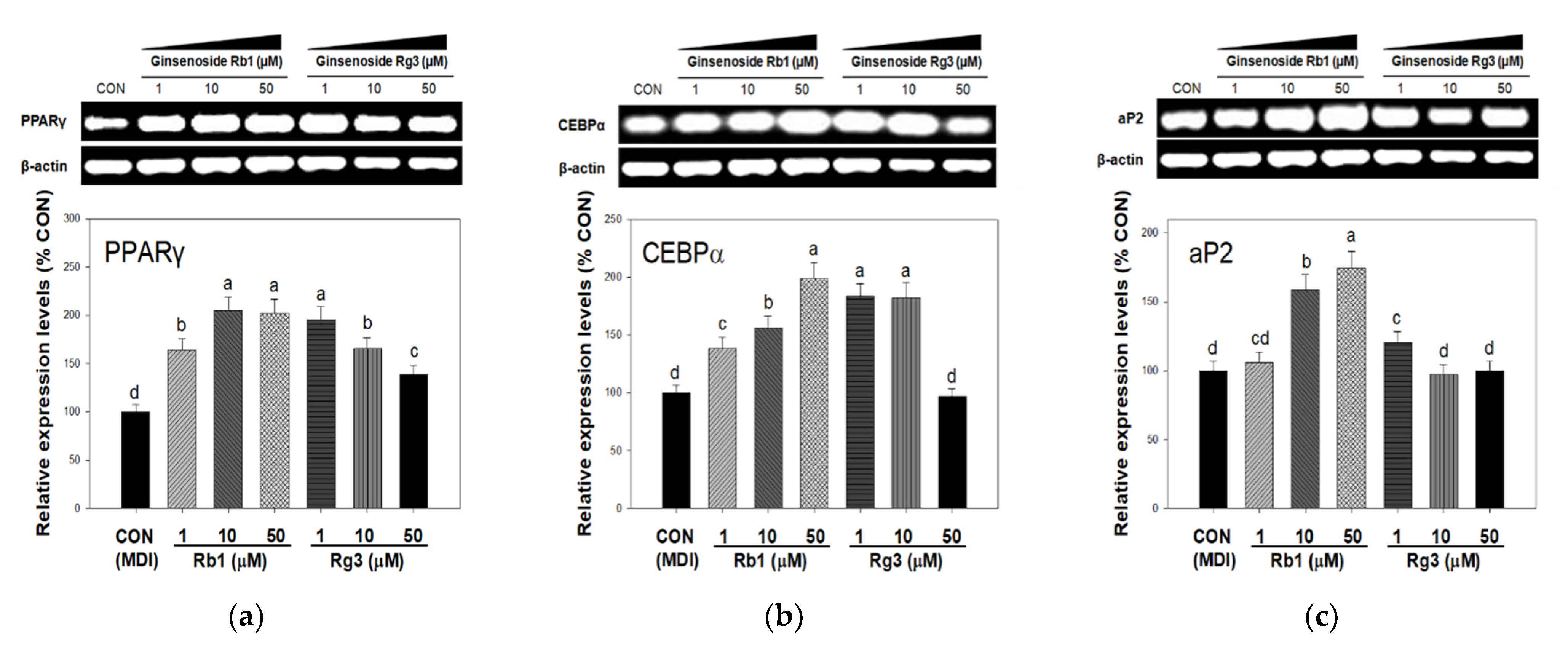 Applsci 11 01725 g002 Applsci 11 01725 g002