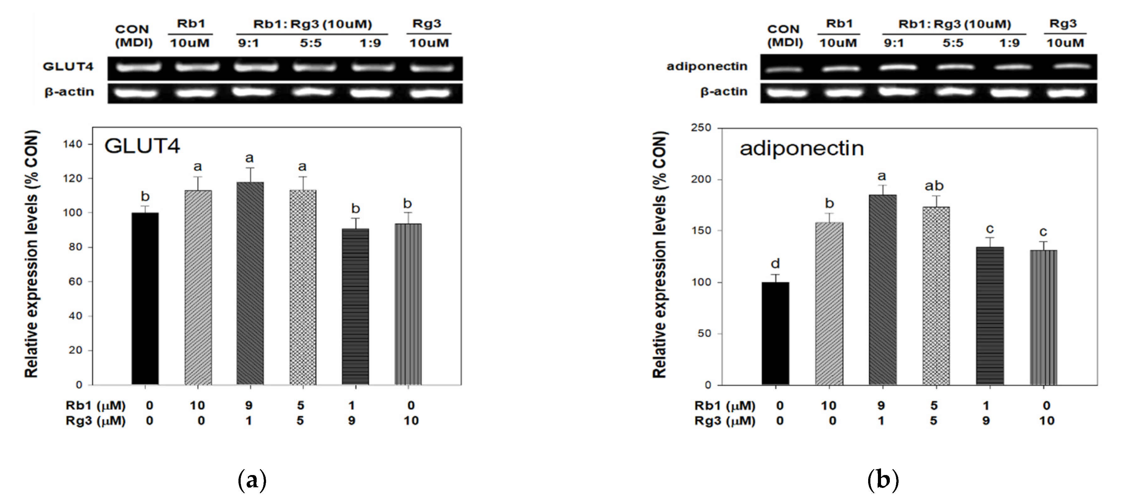Applsci 11 01725 g005 Applsci 11 01725 g005