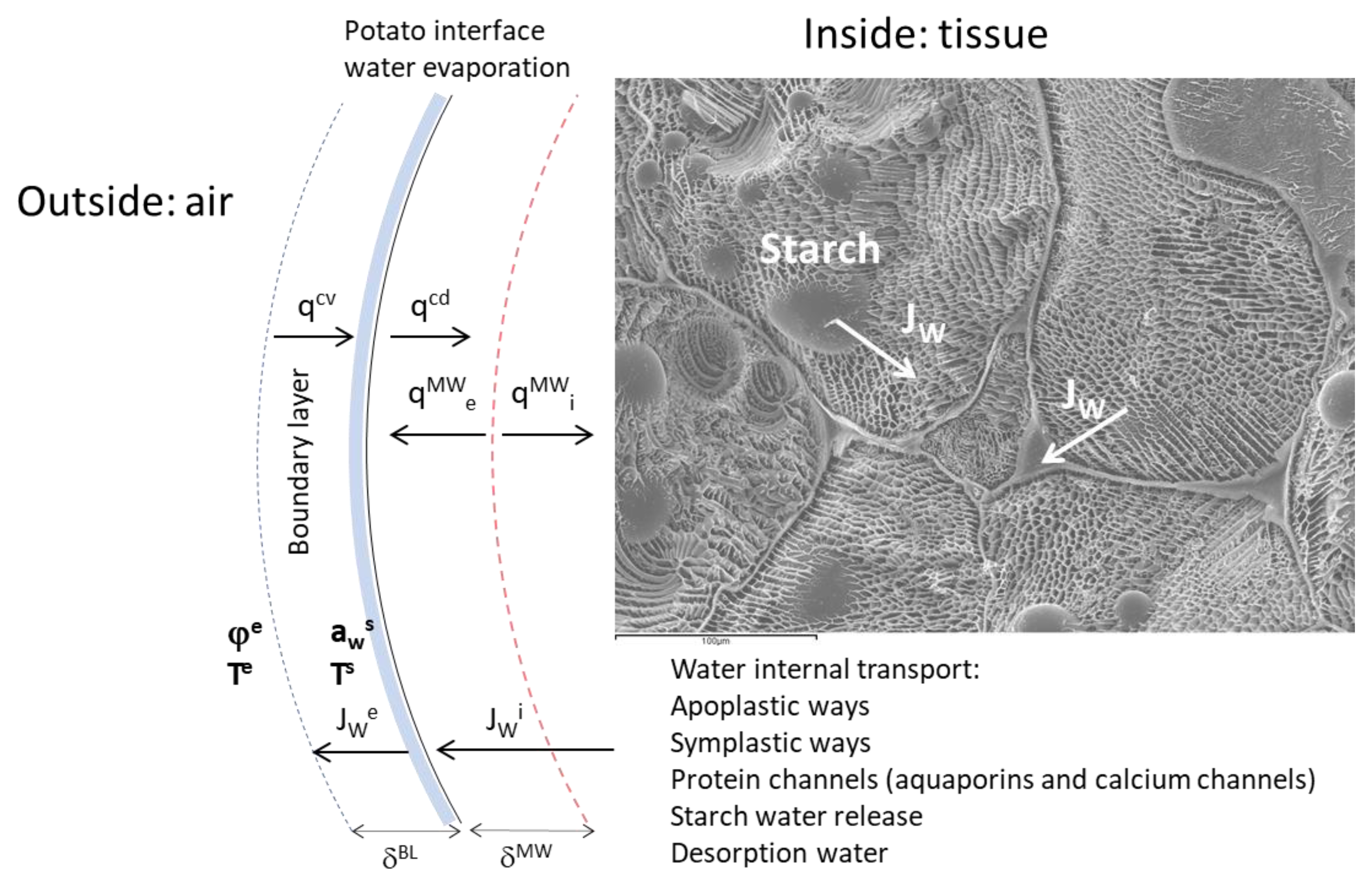 Applsci 11 01730 g002