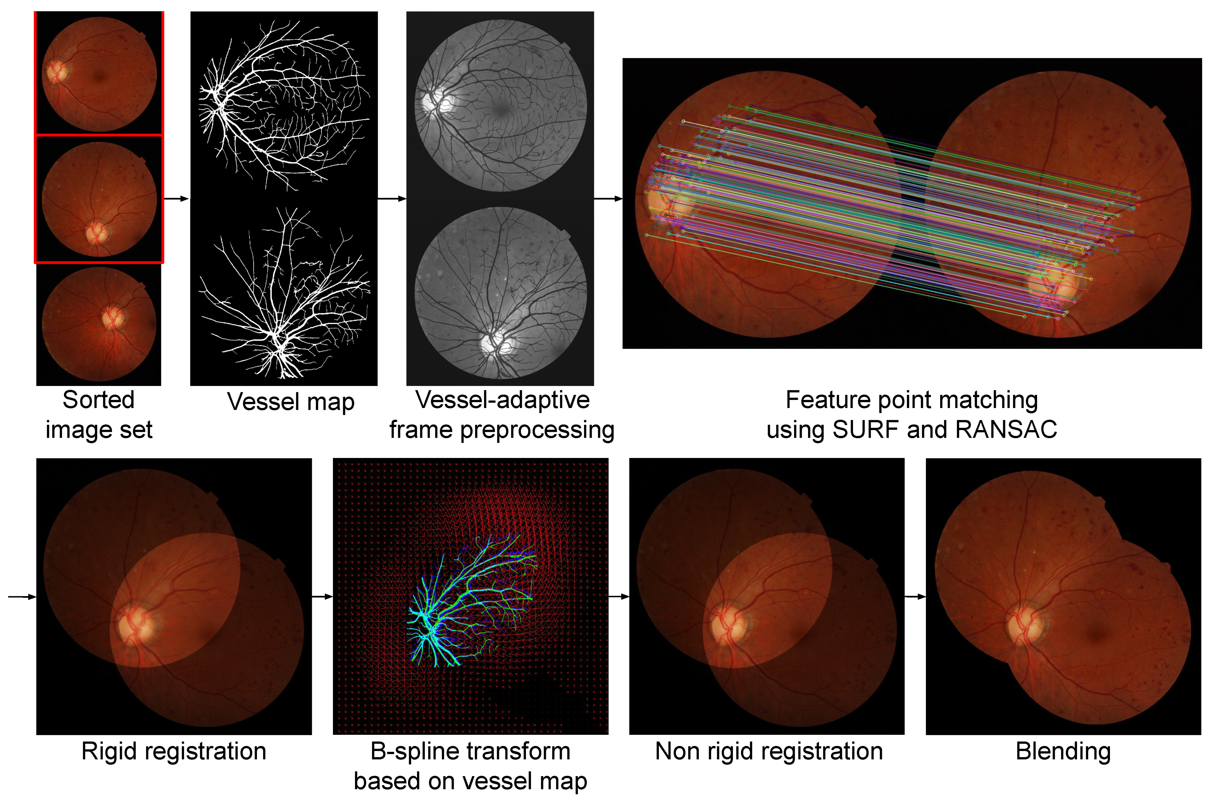 Applsci 11 01754 g003 Applsci 11 01754 g003