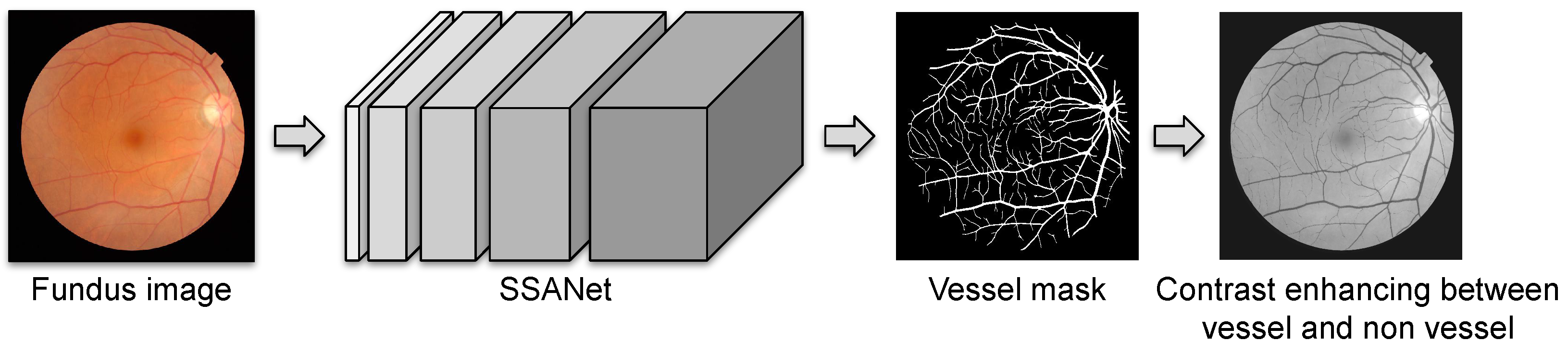 Applsci 11 01754 g004 Applsci 11 01754 g004