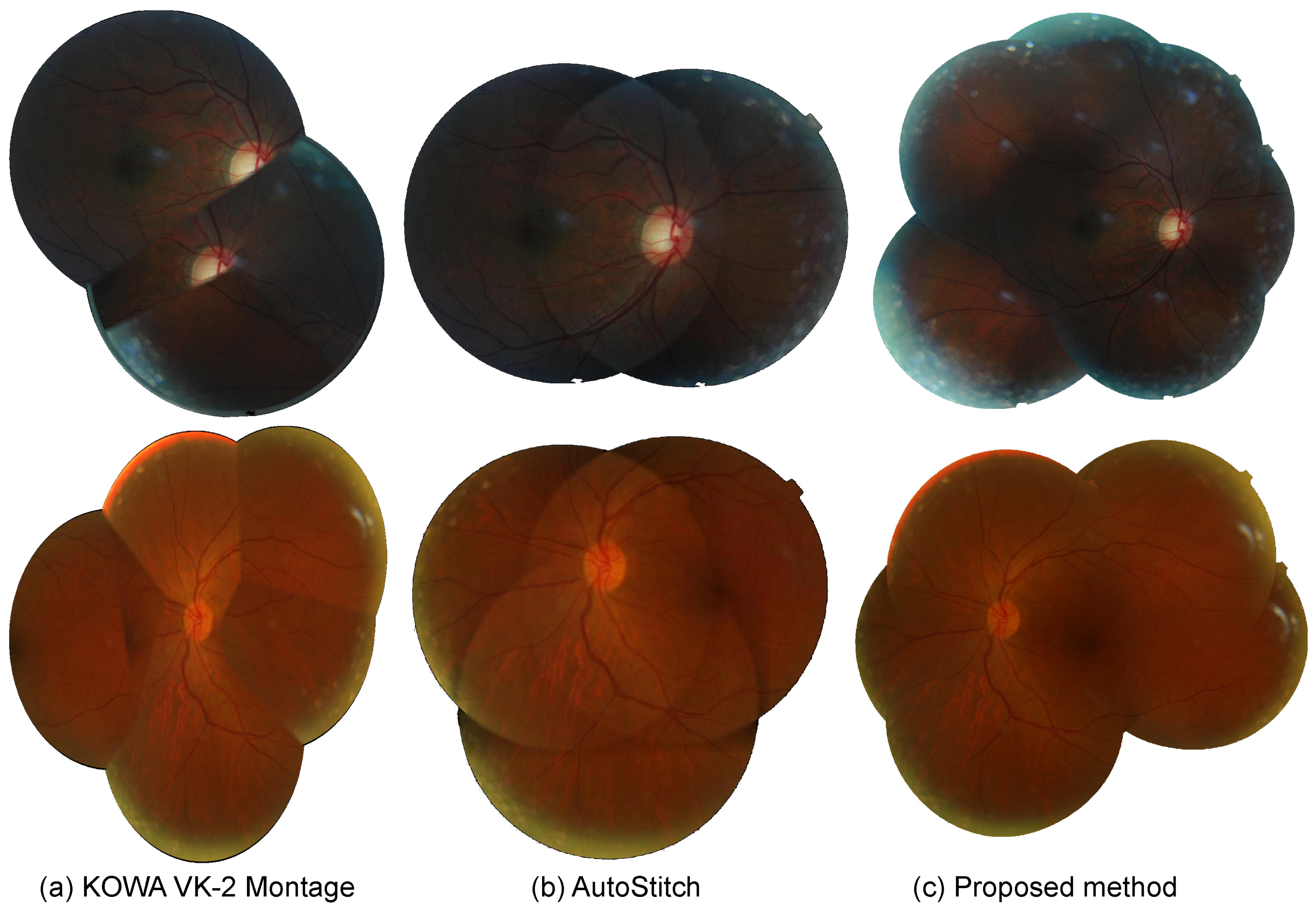 Applsci 11 01754 g009 Applsci 11 01754 g009