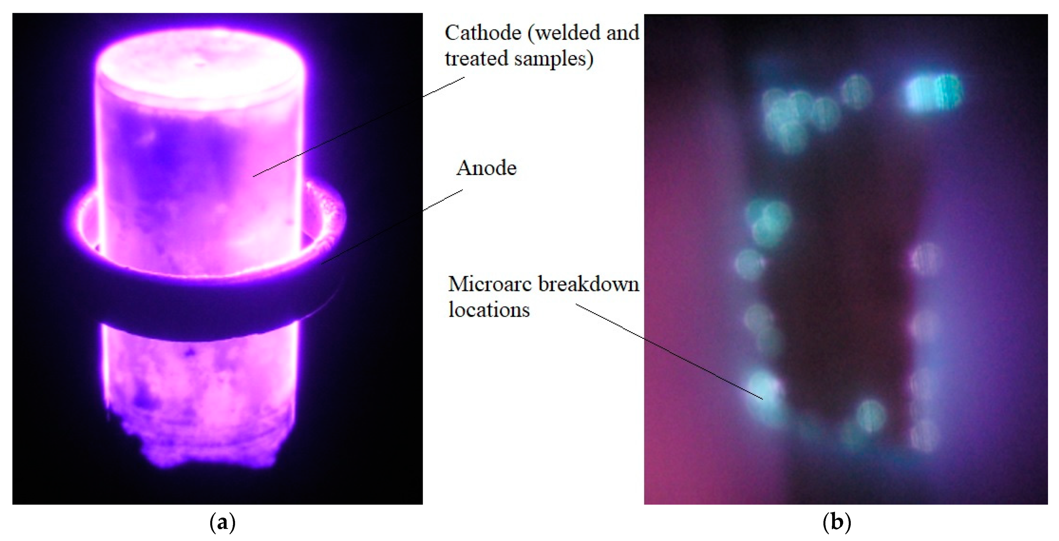 Applsci 11 01765 g008