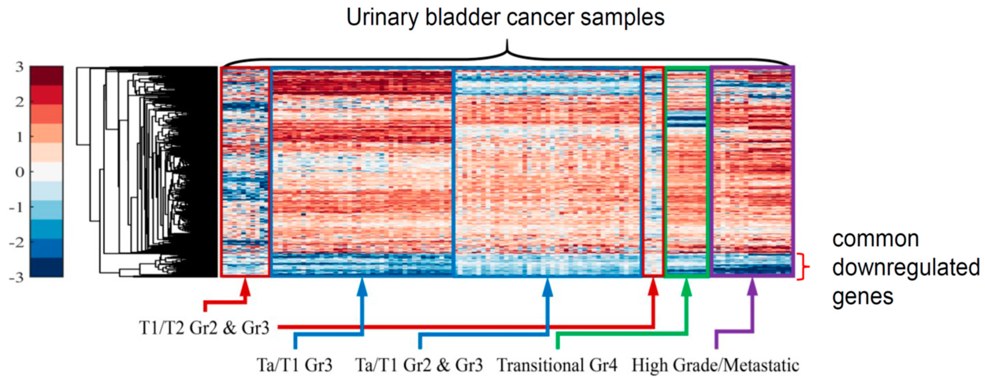 Applsci 11 01785 g001 Applsci 11 01785 g001