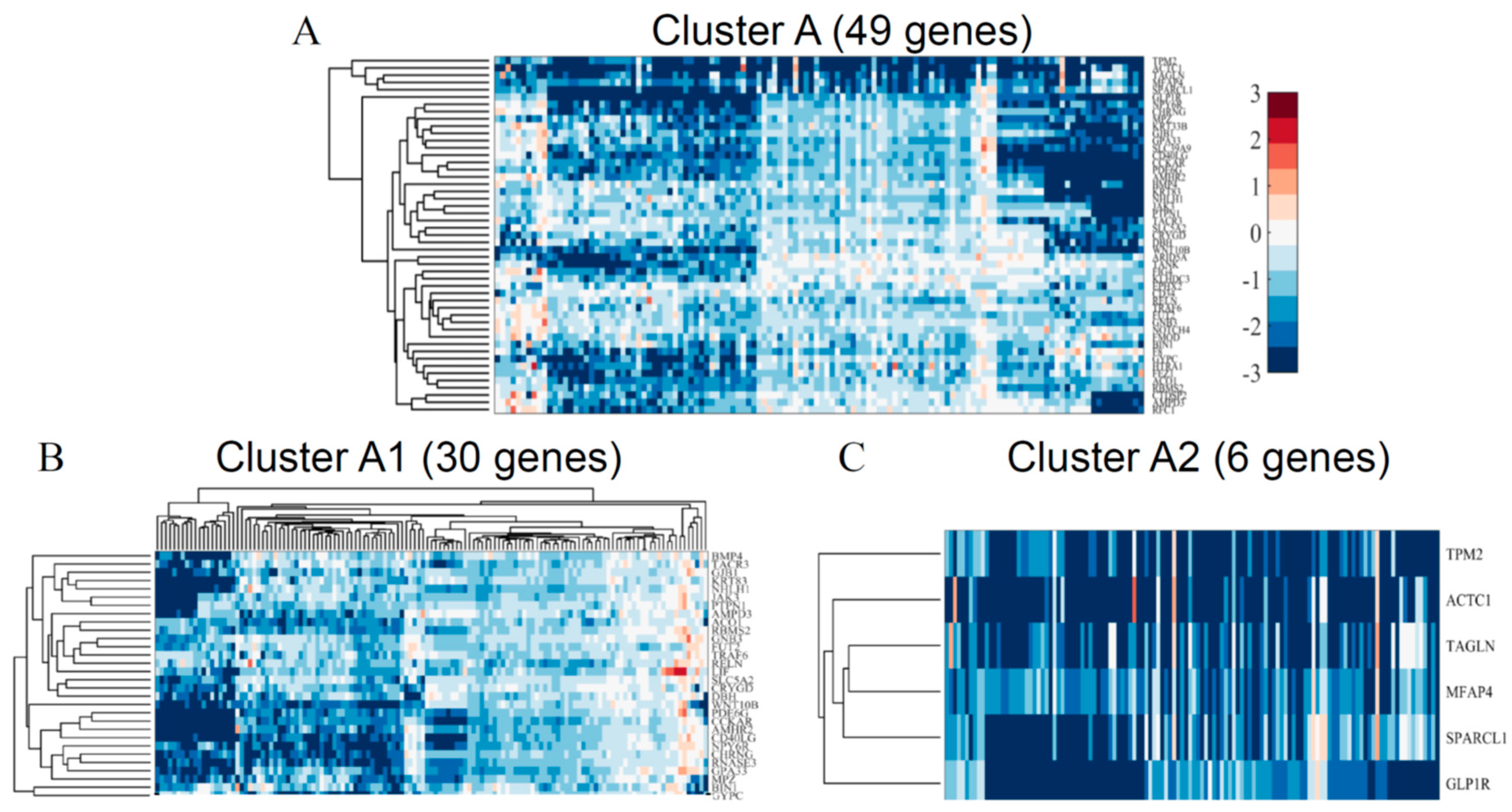 Applsci 11 01785 g004 Applsci 11 01785 g004